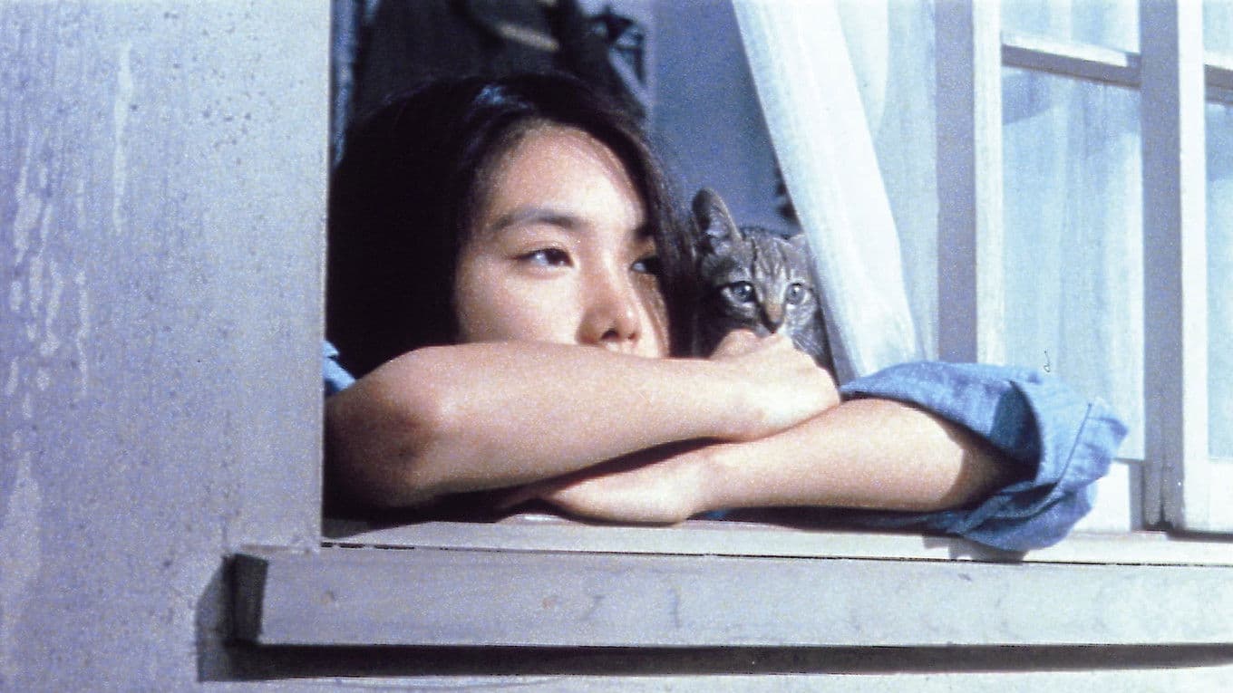 슬로우한 부기로 해 줘!