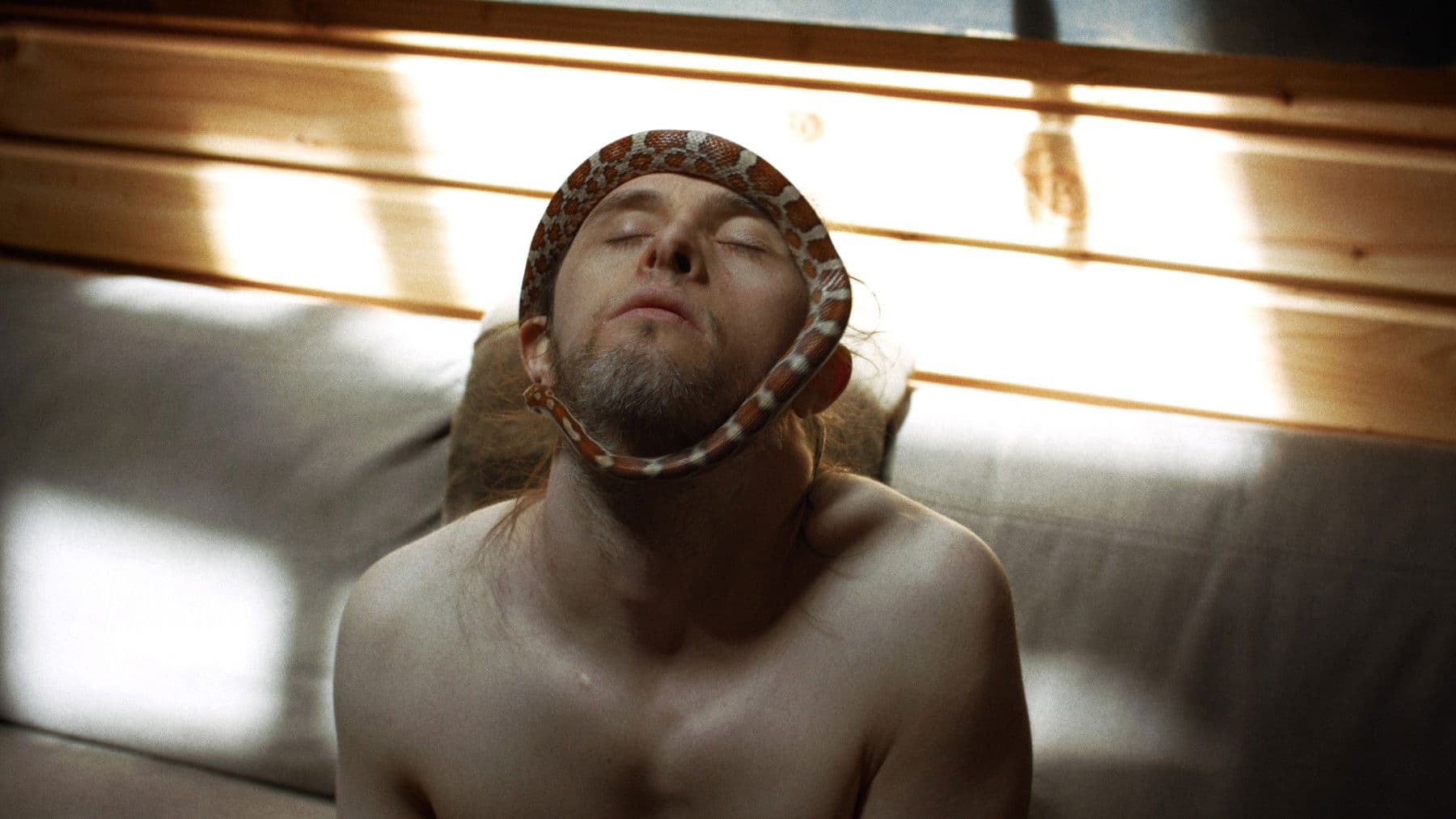 Théo et les métamorphoses