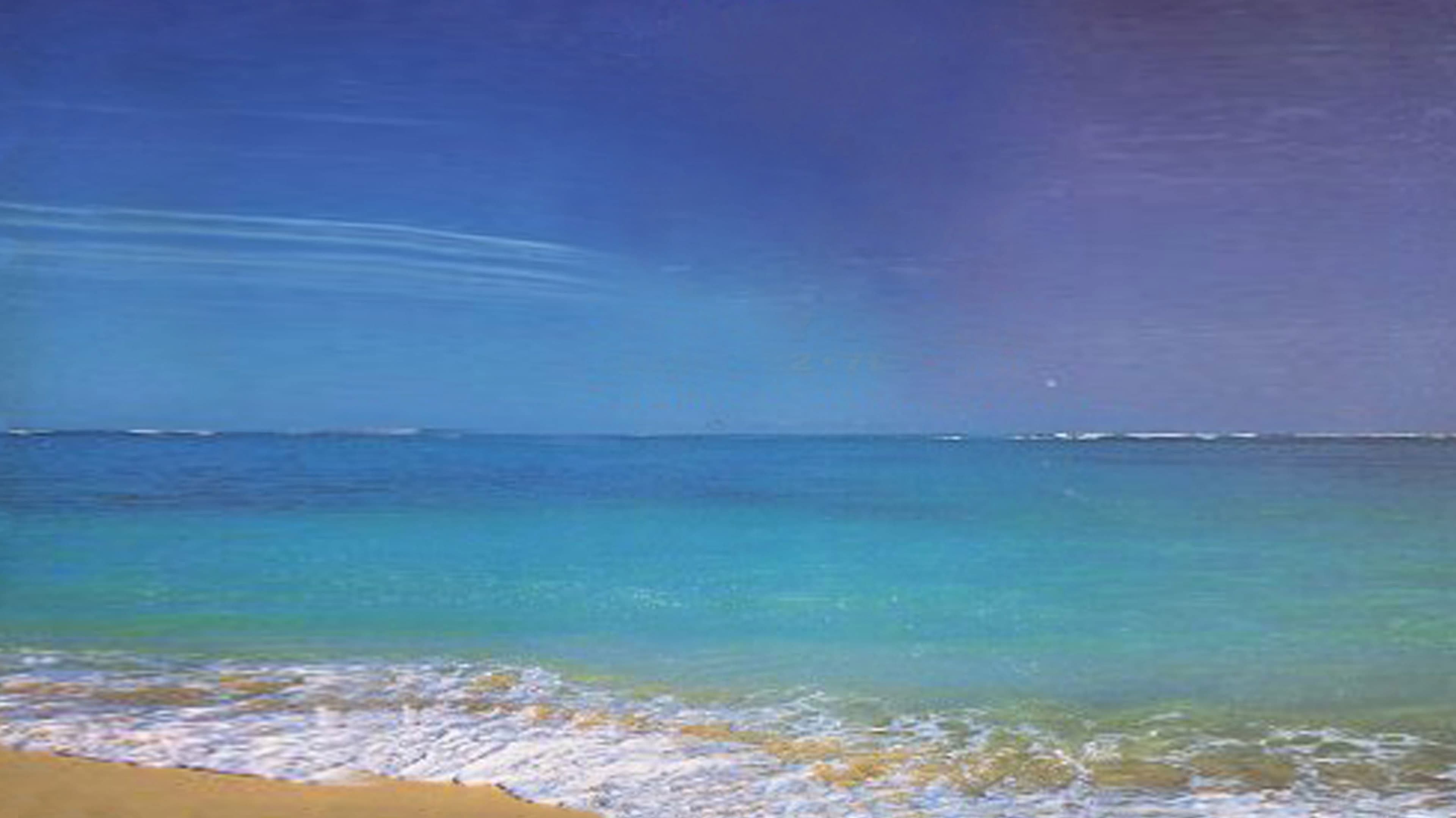 WWE 로열 럼블 1995