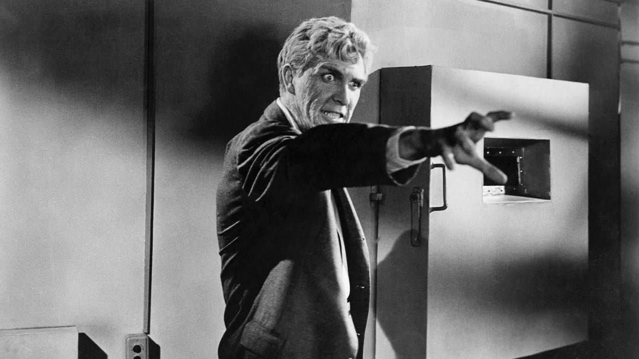 4차원의 사나이