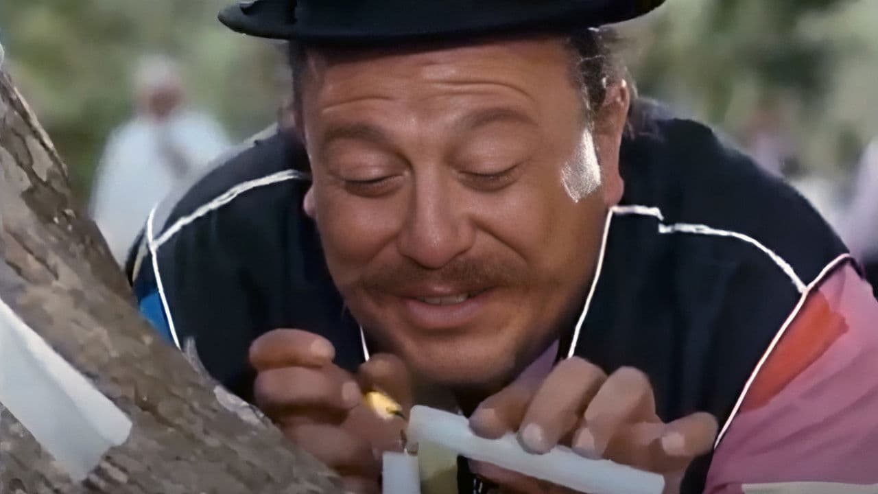 L'Honneur de la Tribu