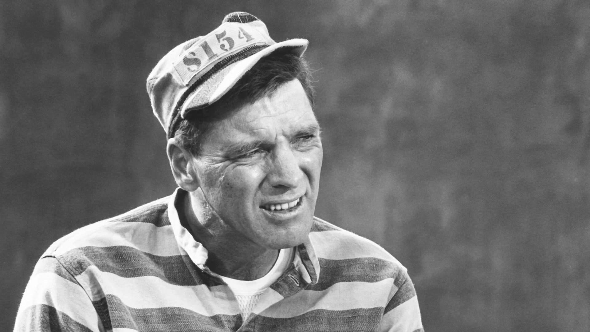 버드맨 오브 알카트라즈