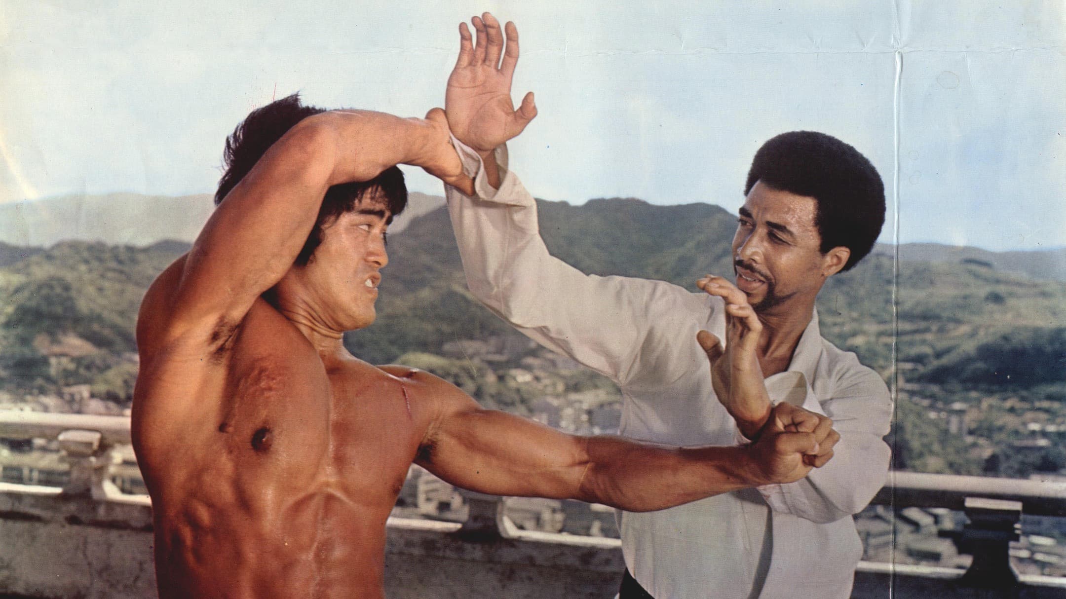 唐山虎威殲殺手