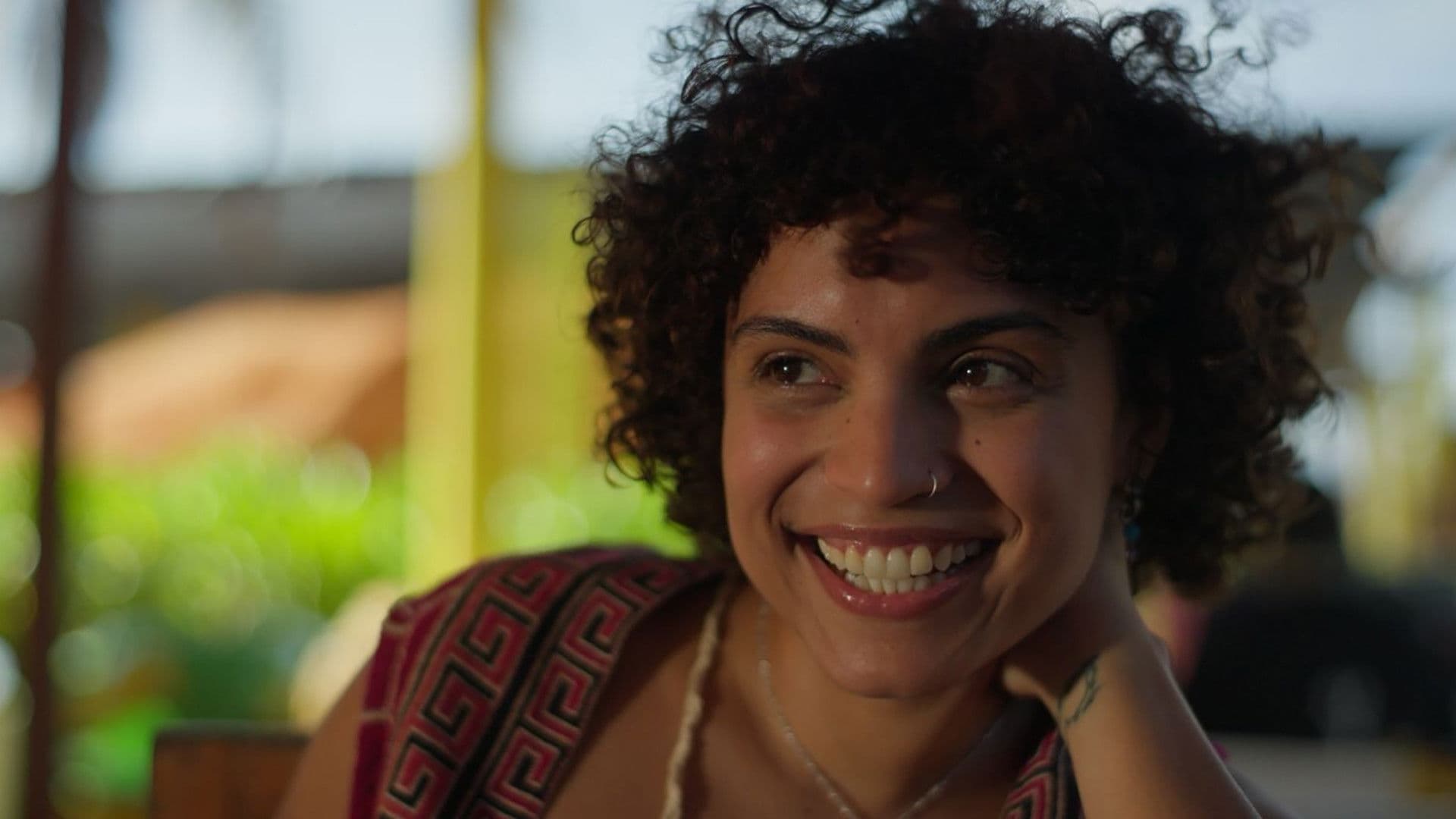 Los años perdidos de las tortugas