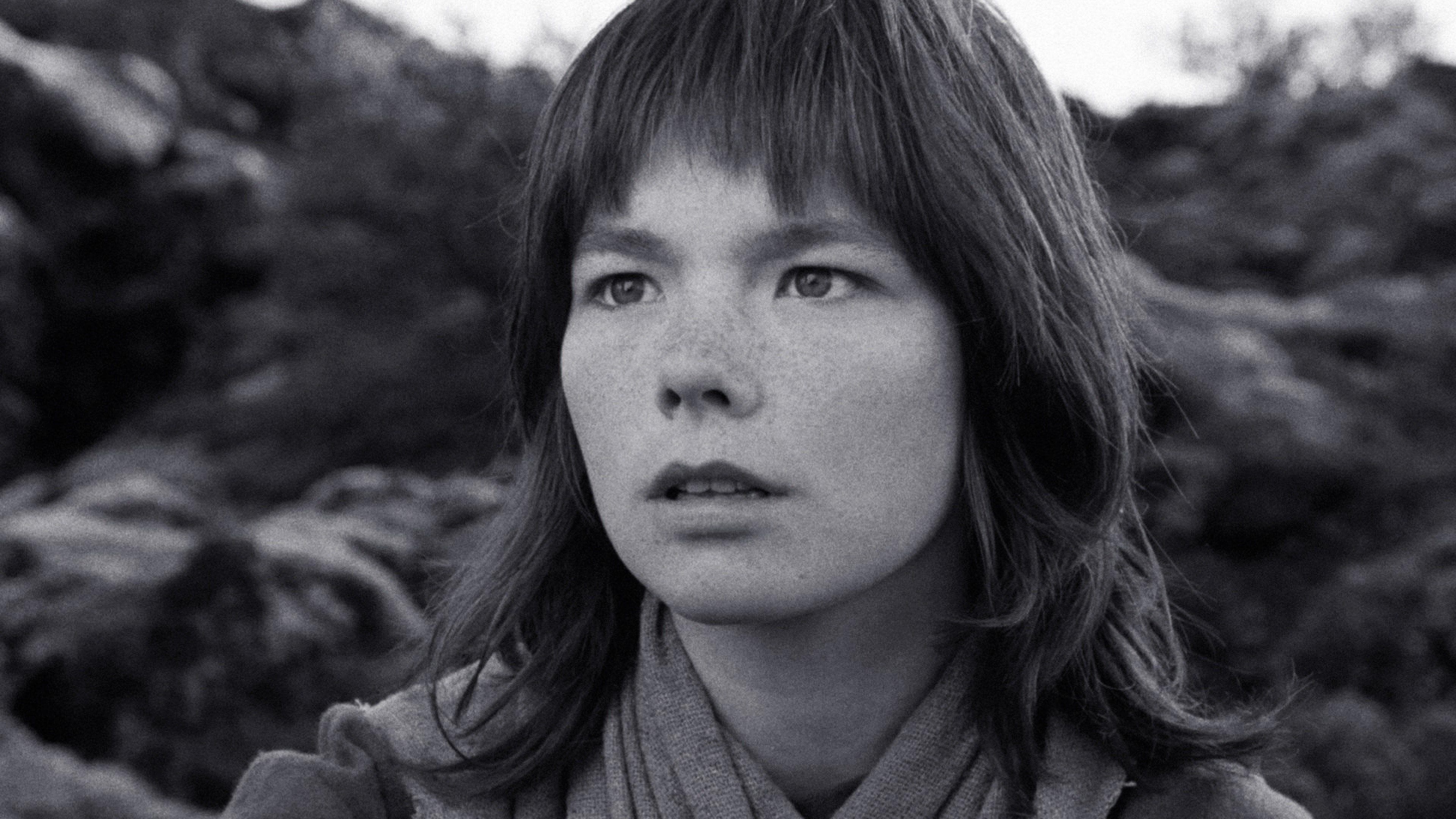 더 주니퍼 트리