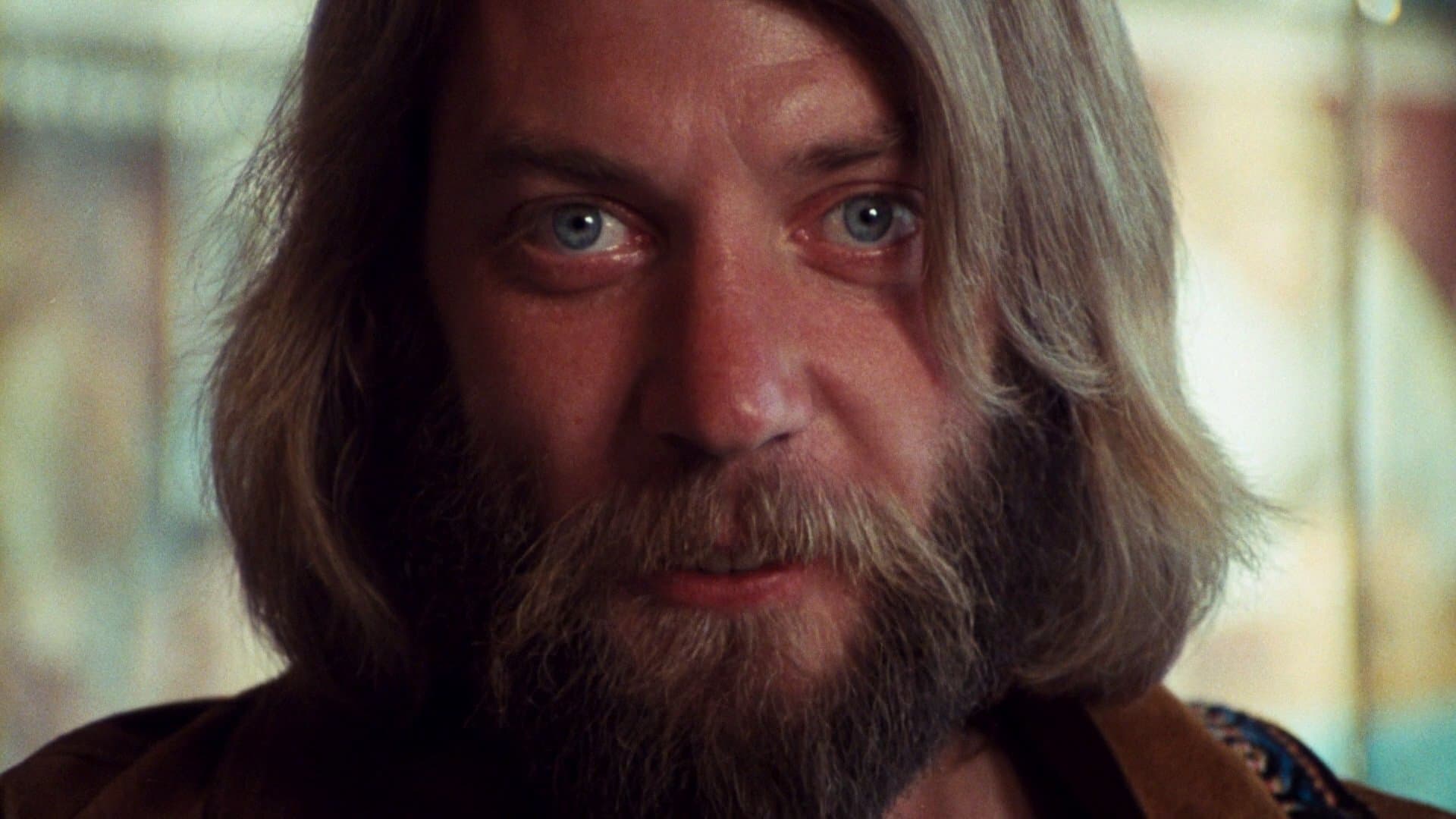 이상한 나라의 알렉