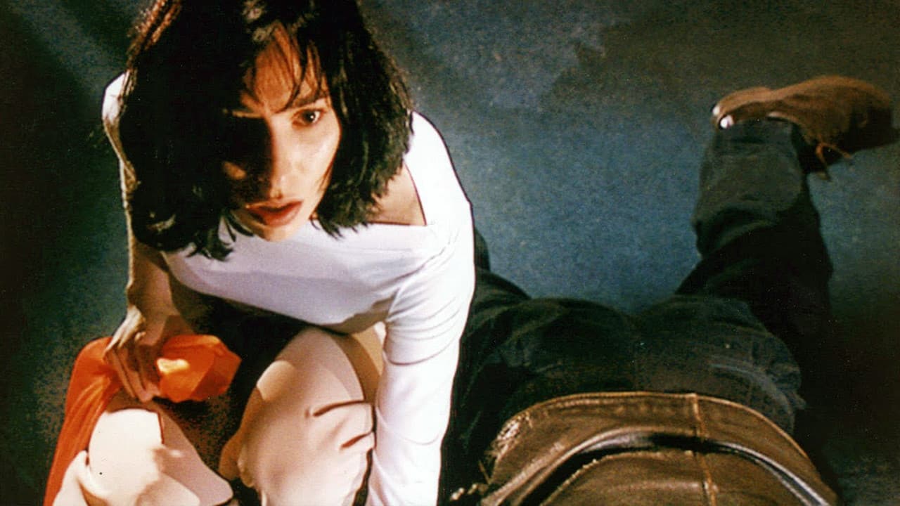 Las aventuras de Dios