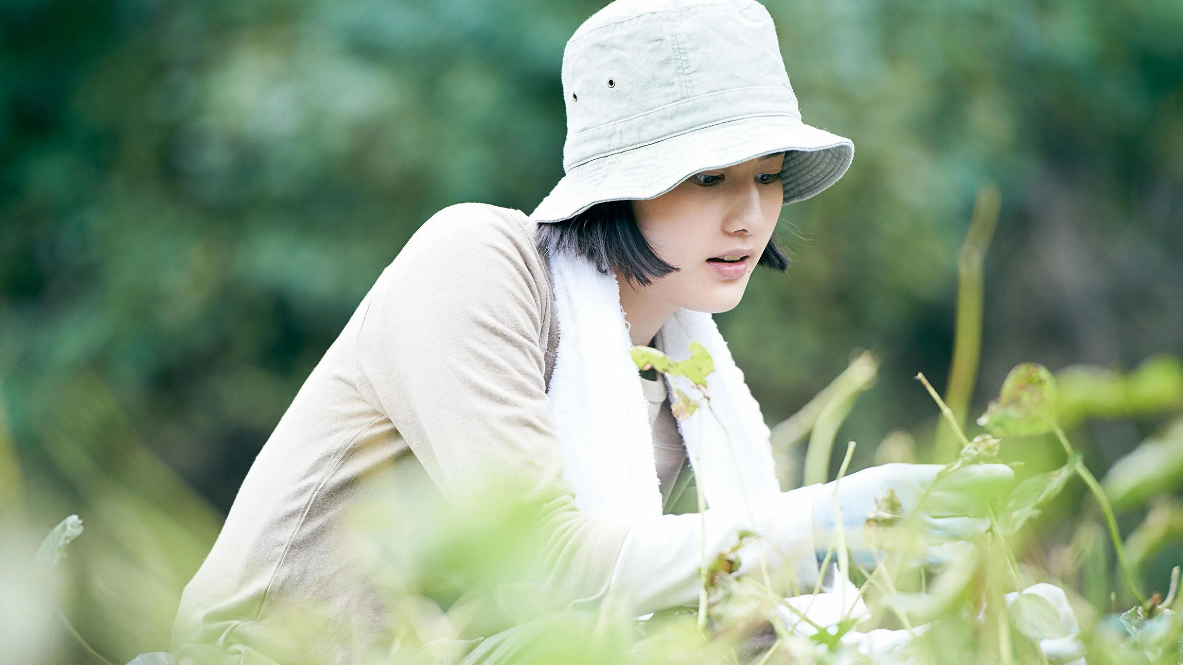 리틀 포레스트: 여름과 가을