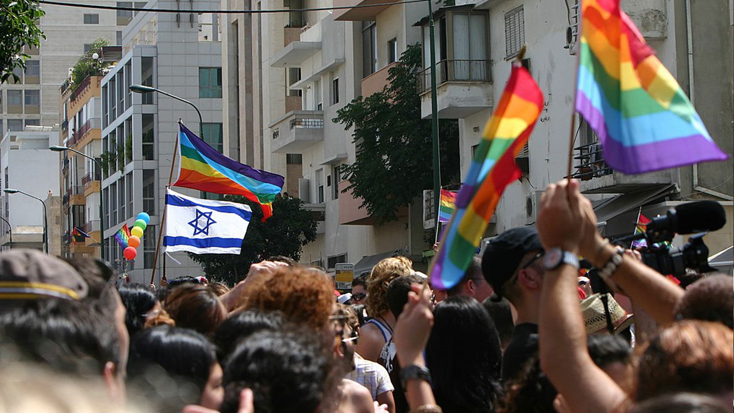 הזמן הוורוד