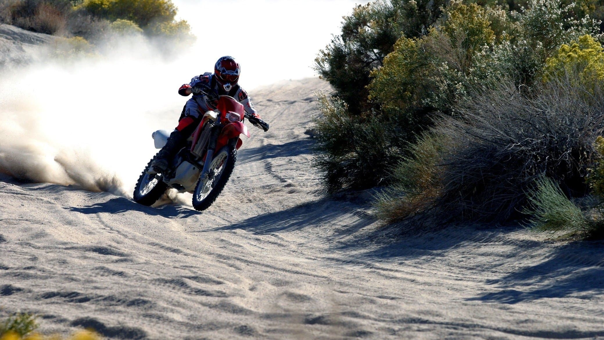 더스트 투 글로리