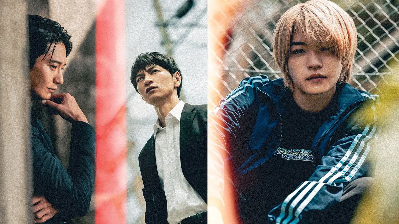 마약수사관과 미친개