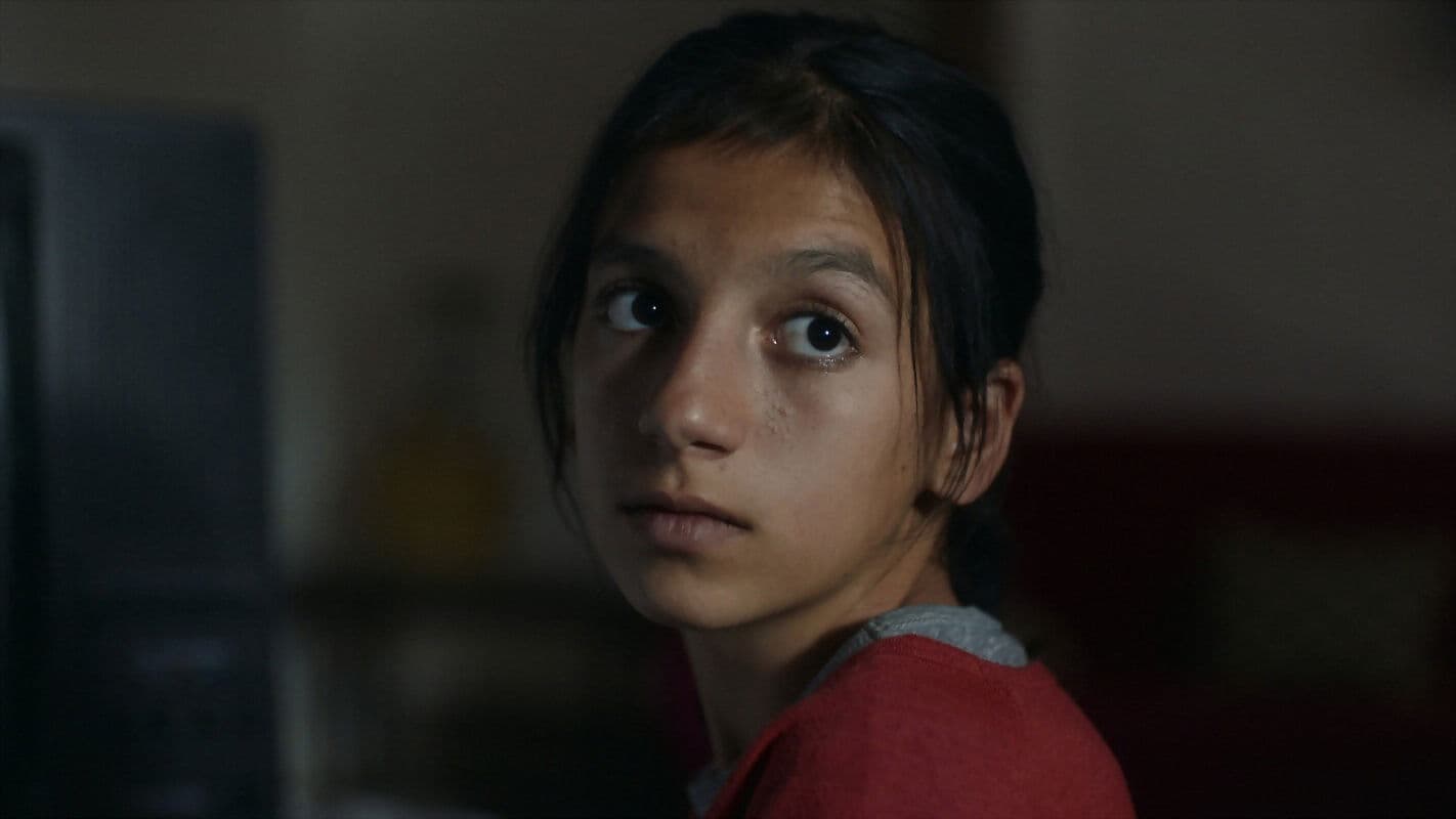 TV가 사라진 세상