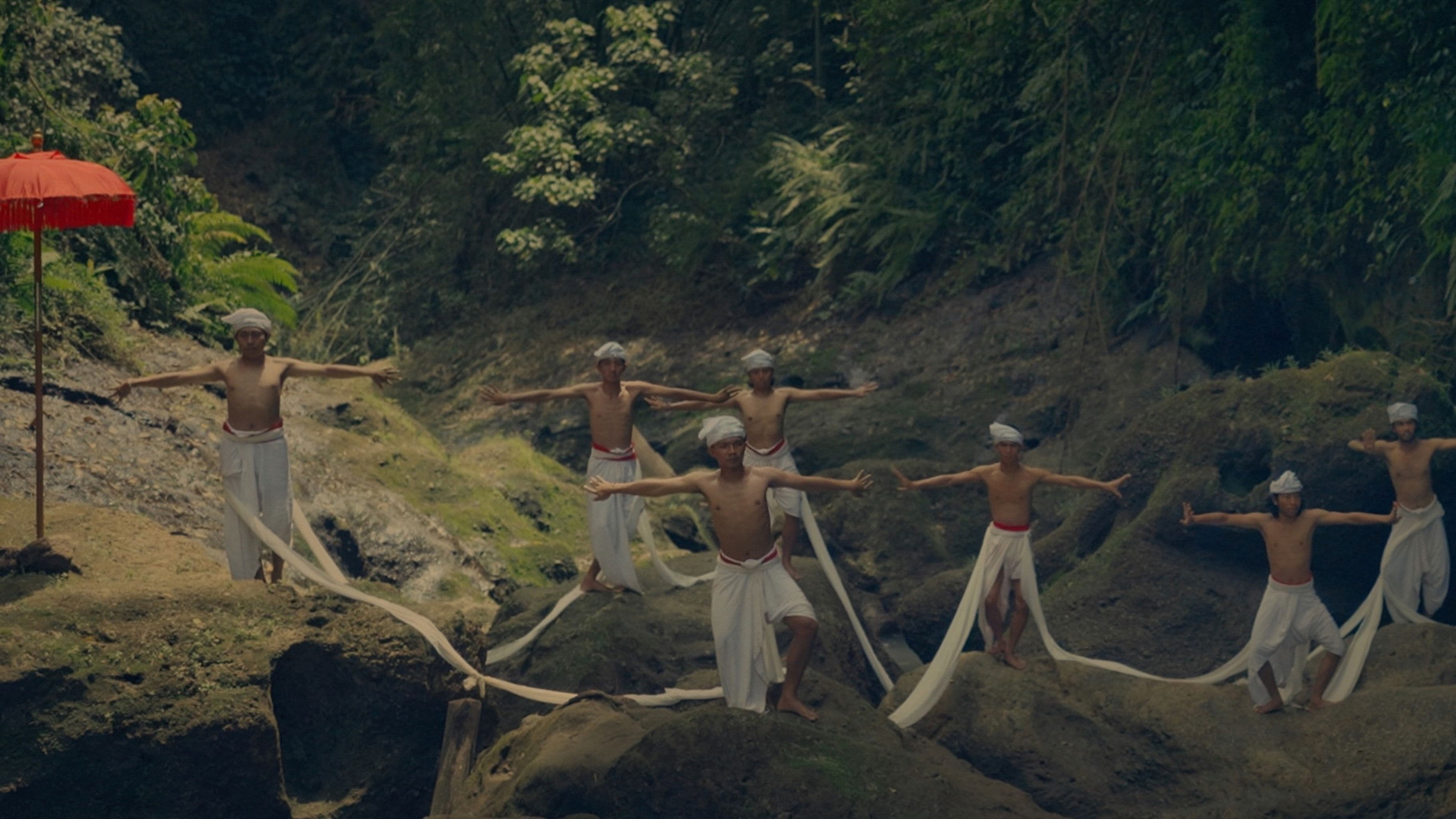 야생화가 꽃피는