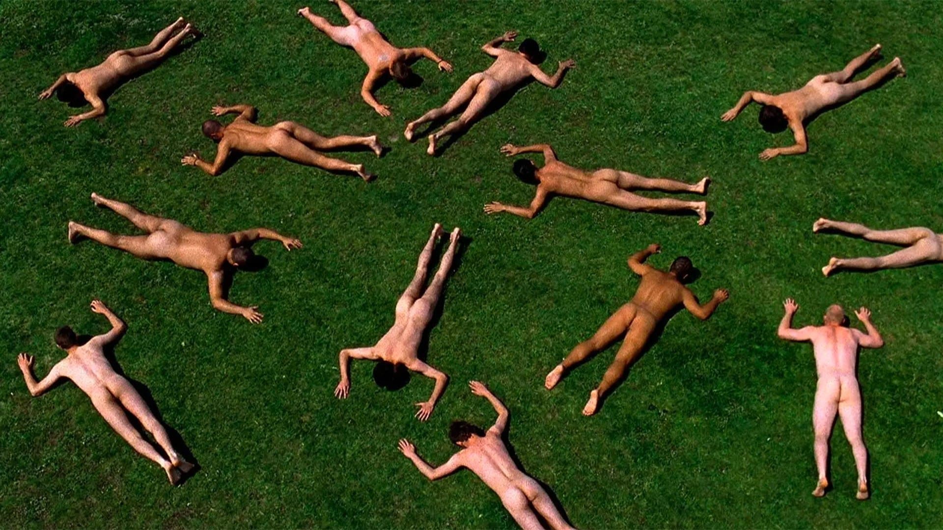 디스트릭티드 - 제한해제