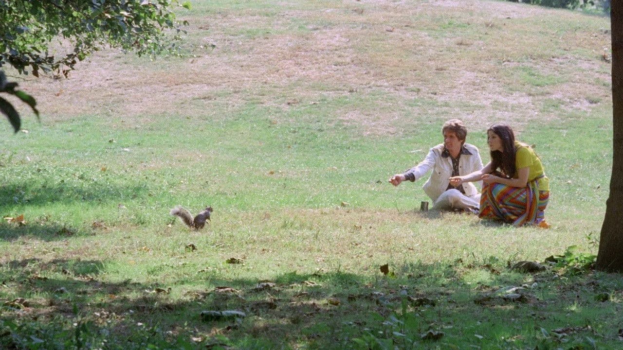 Virgin and the Lover