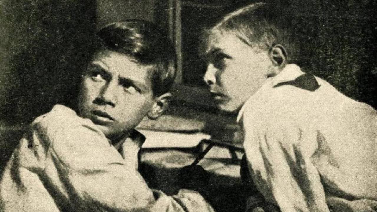 Настоящий товарищ