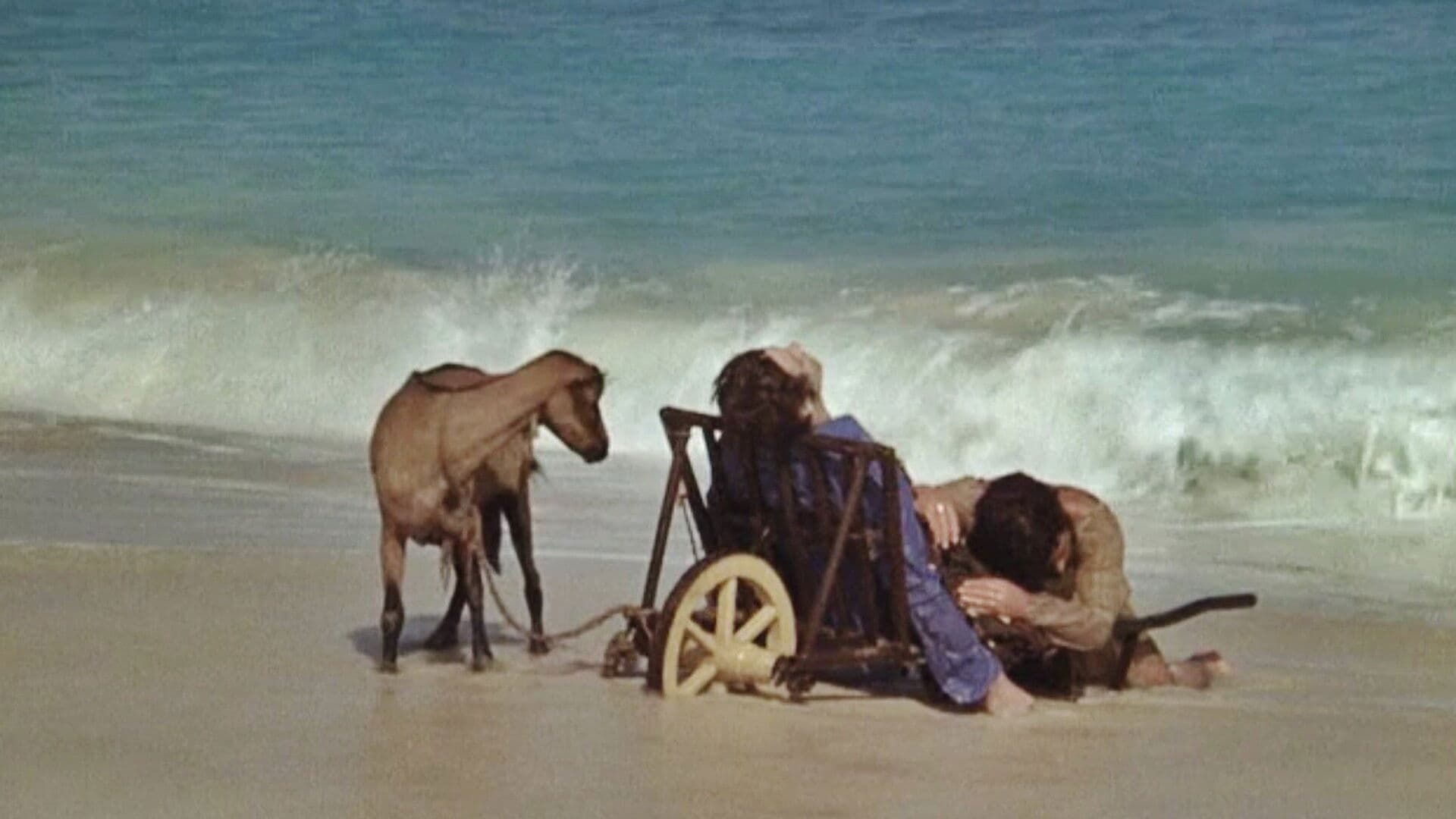 난 미친 말처럼 걸을 것이다