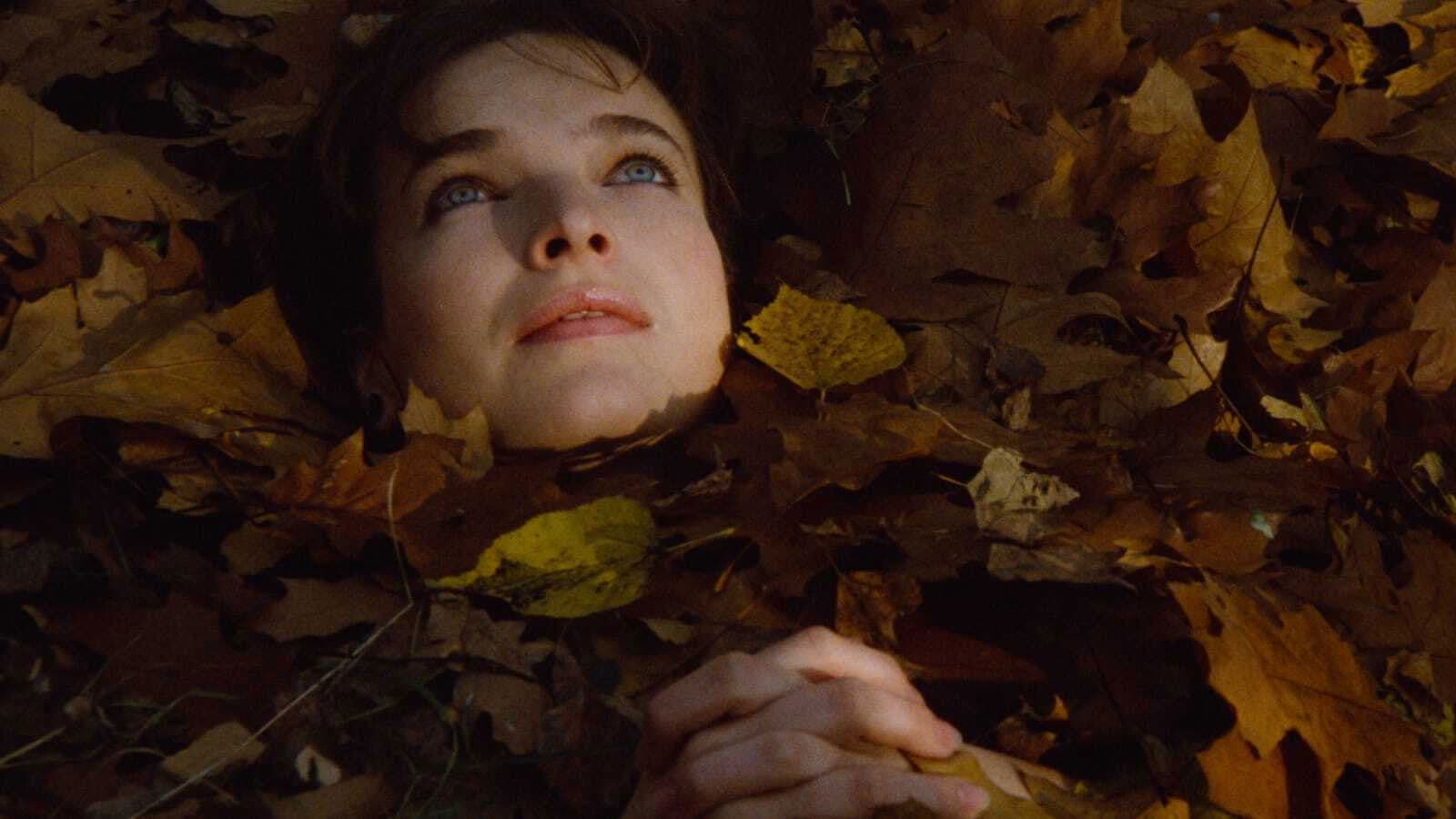 내 사랑의 일기