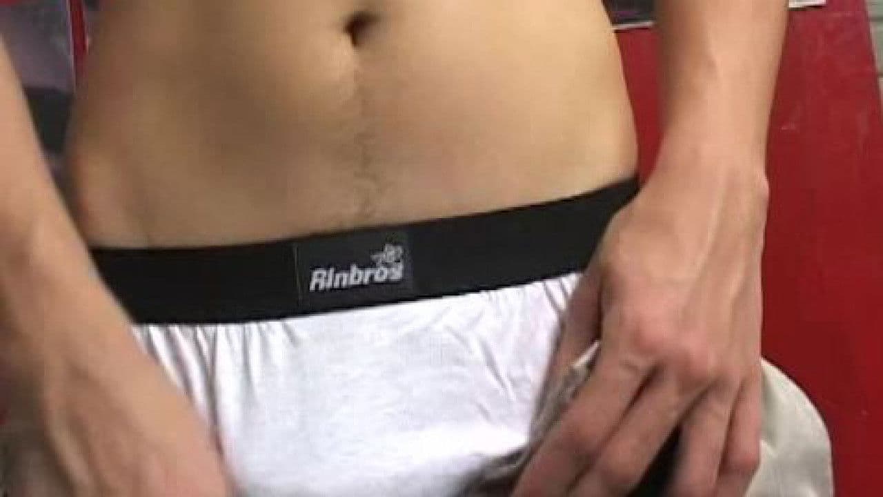 The Bulls of Guadalajara 4