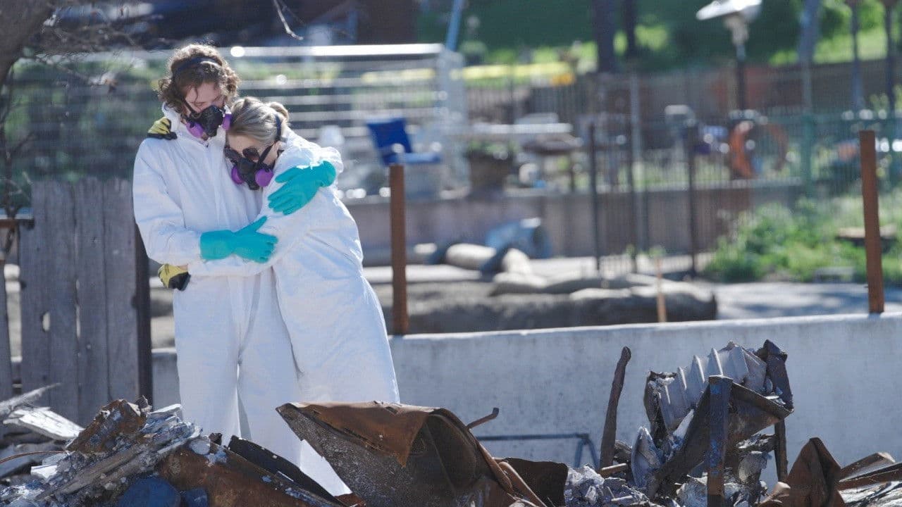 All the Walls Came Down