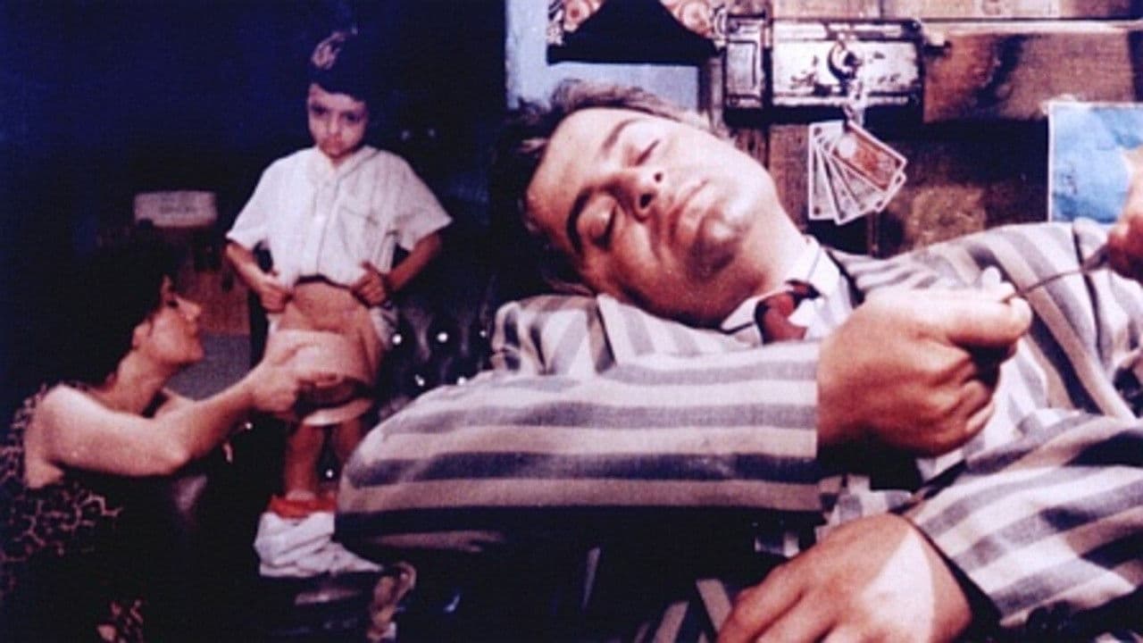 نجوم النهار