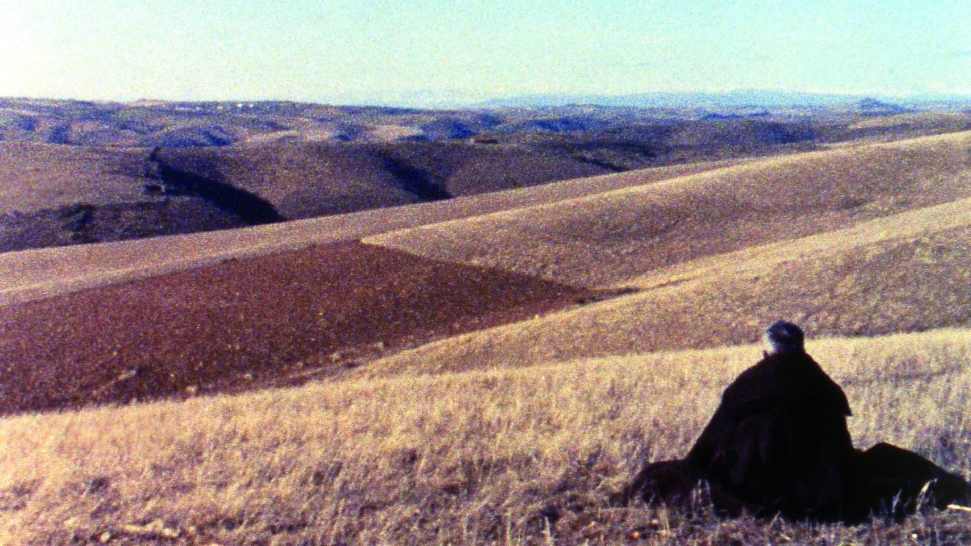 트라스-우스-몽트스