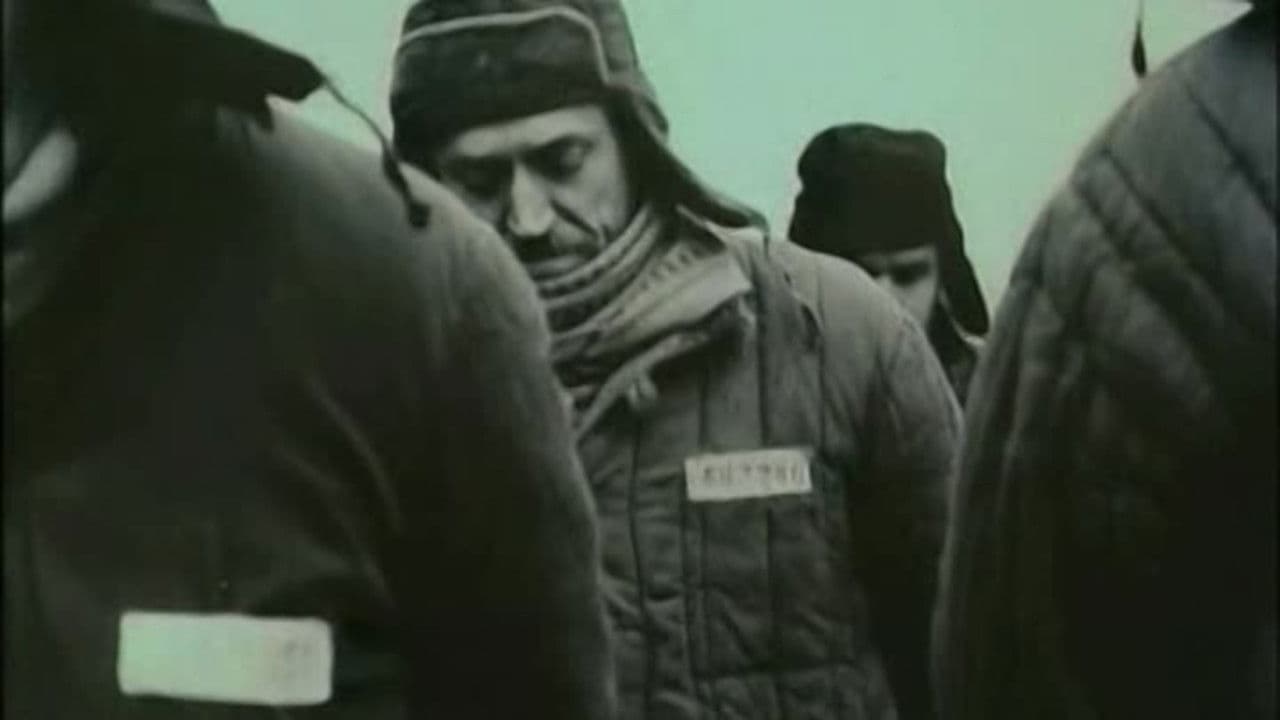 Верный Руслан (История караульной собаки)