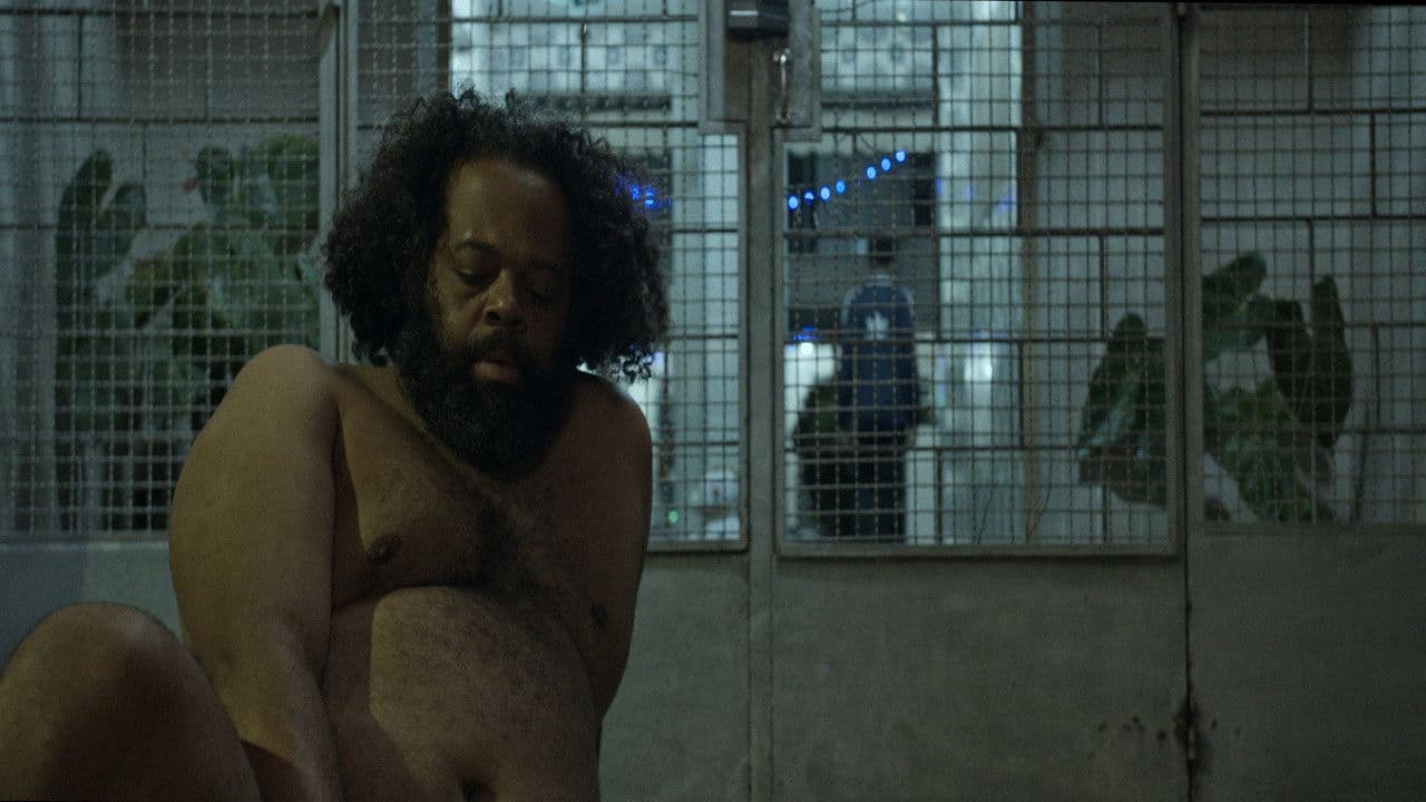 À noite todos os gatos são pardos