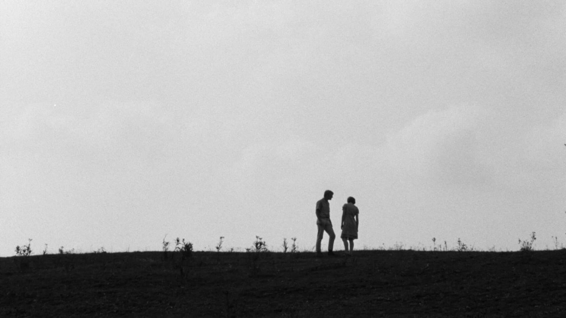 스프링 나잇, 썸머 나잇