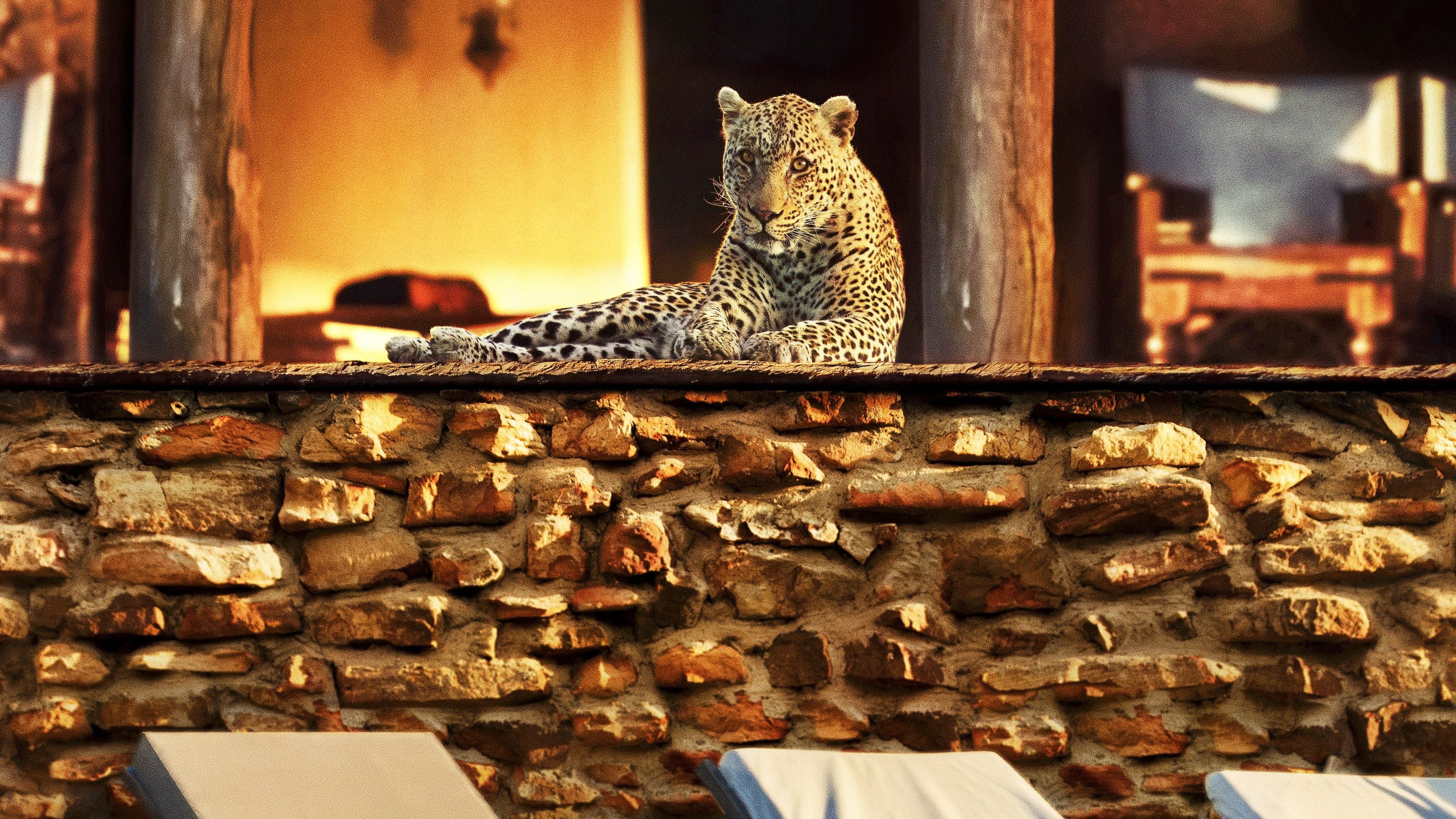 '그해, 지구가 바뀌었다' - The Year Earth Changed