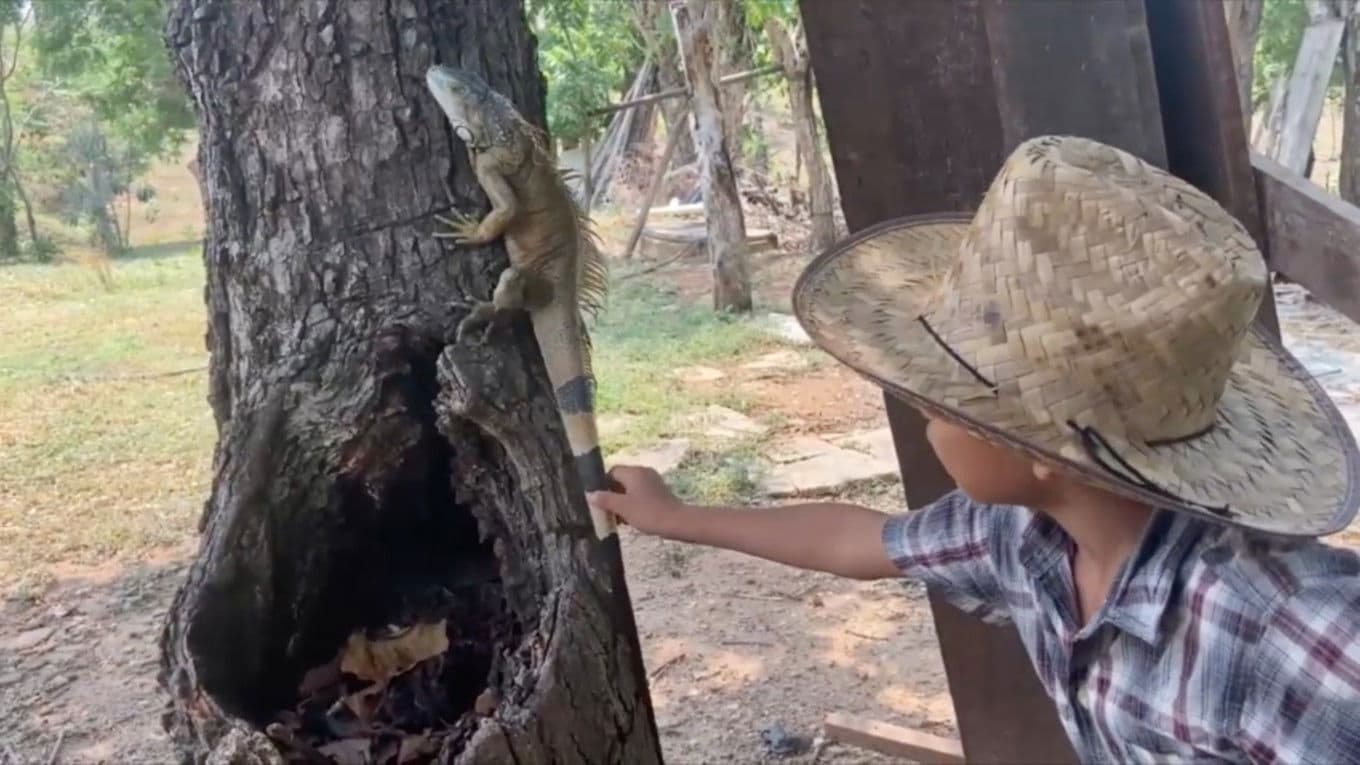 Cineastas del futuro 5: un minuto de mi día