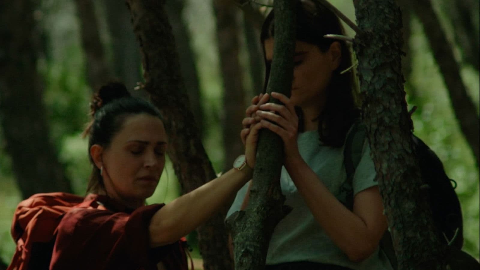 Don’t Try This in the Woods