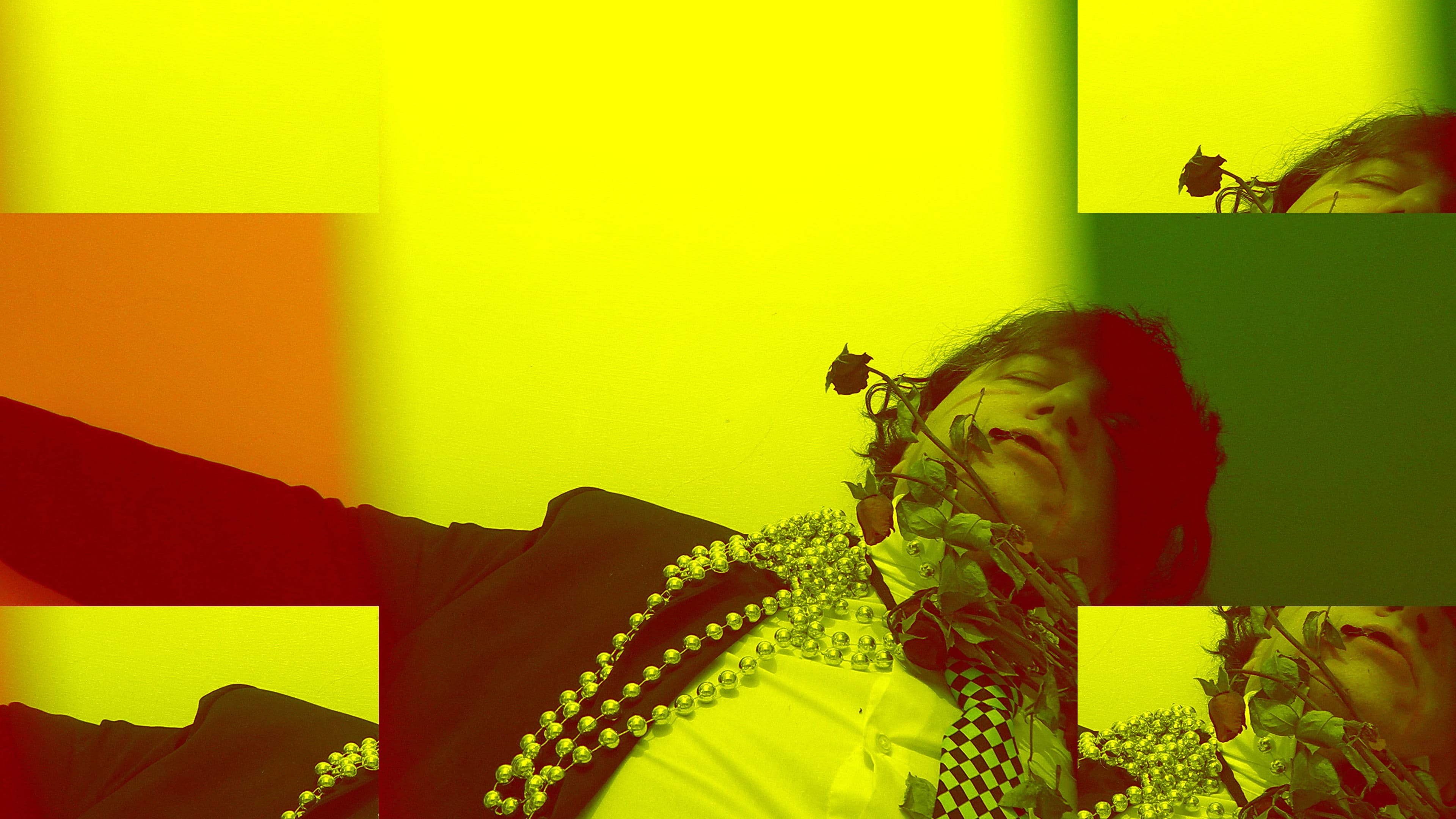 Sono sfiorite le rose