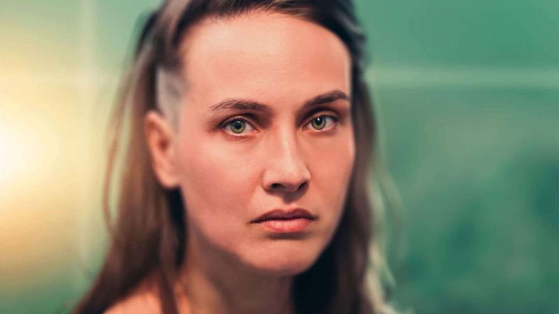 Zápisník alkoholičky