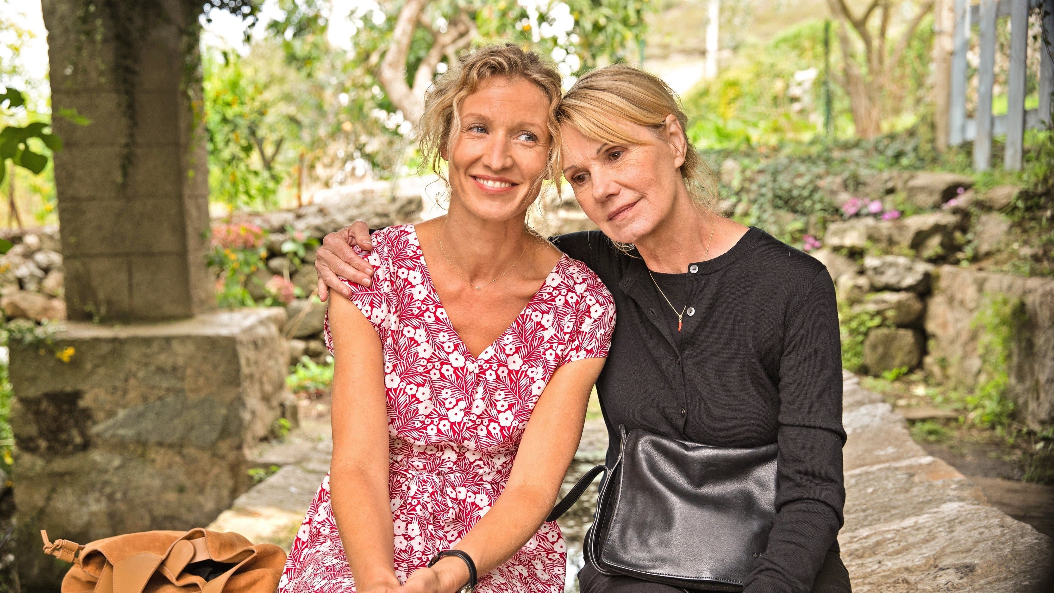 더 모닝 에프터