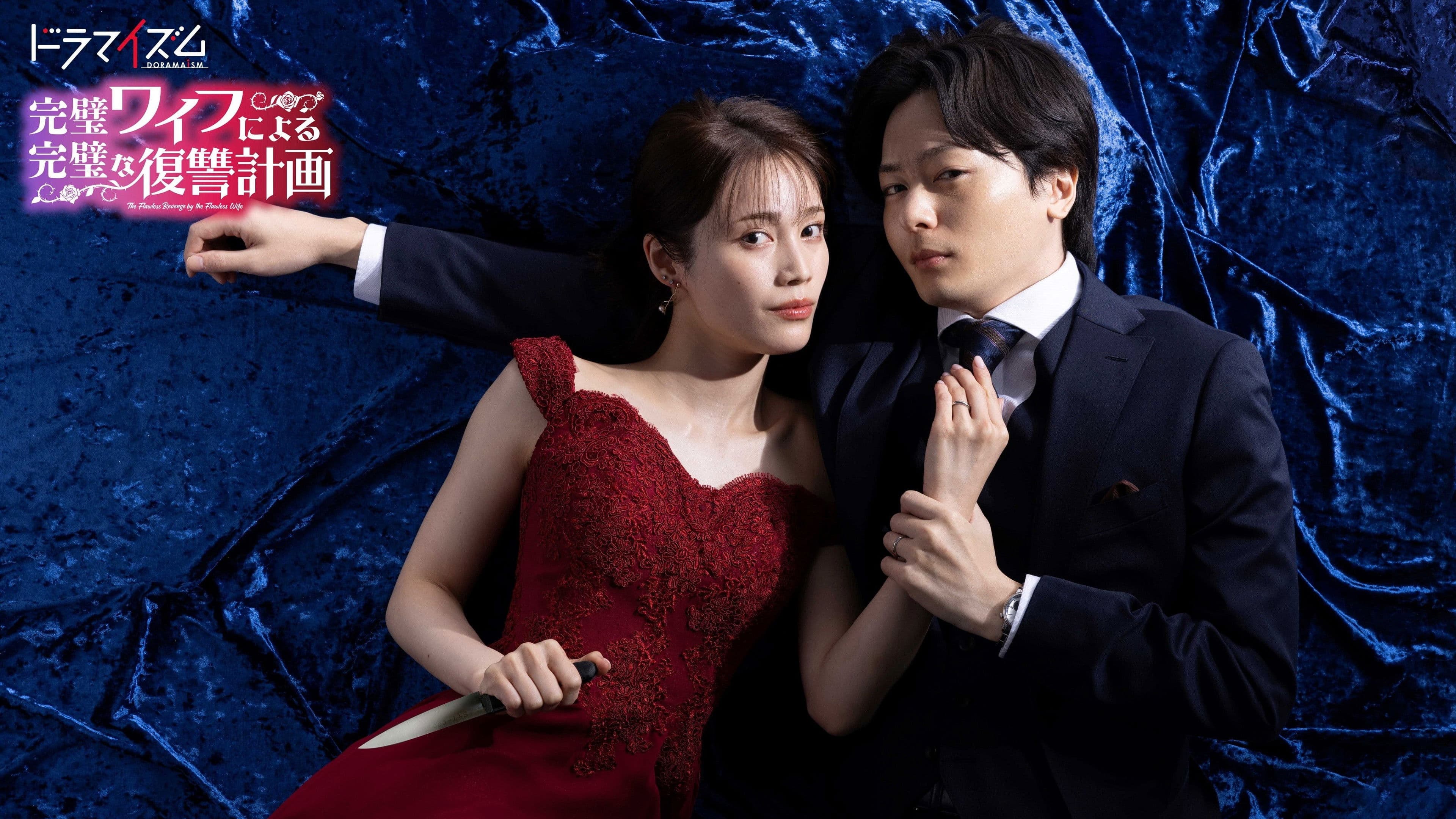 완벽한 와이프에 의한 완벽한 복수 계획
