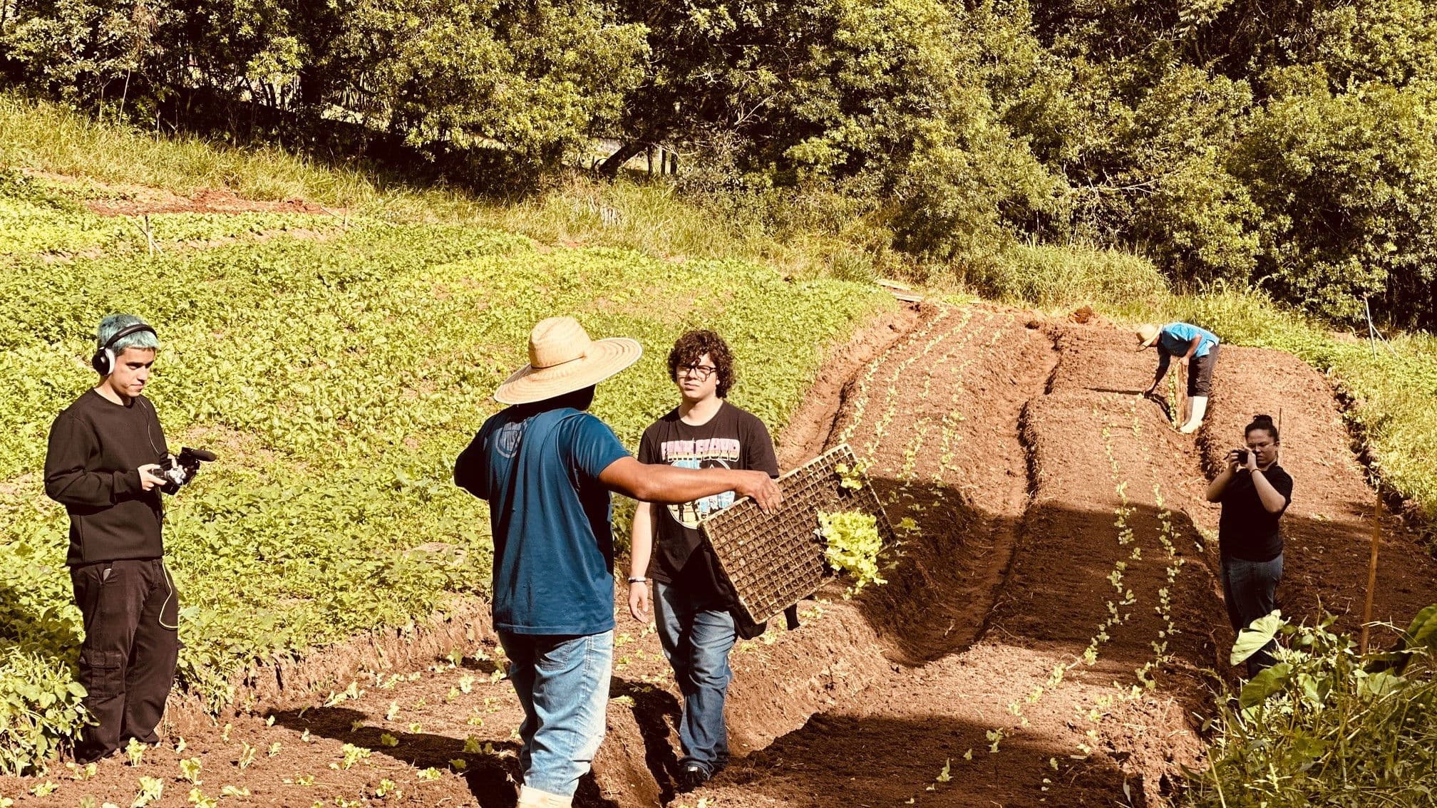 Terças, Sábados, Domingos