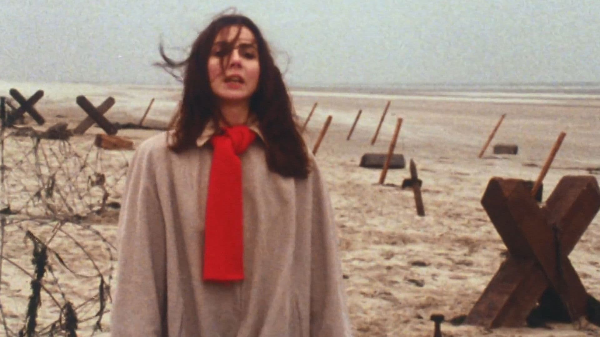 L'Ombre sur la plage