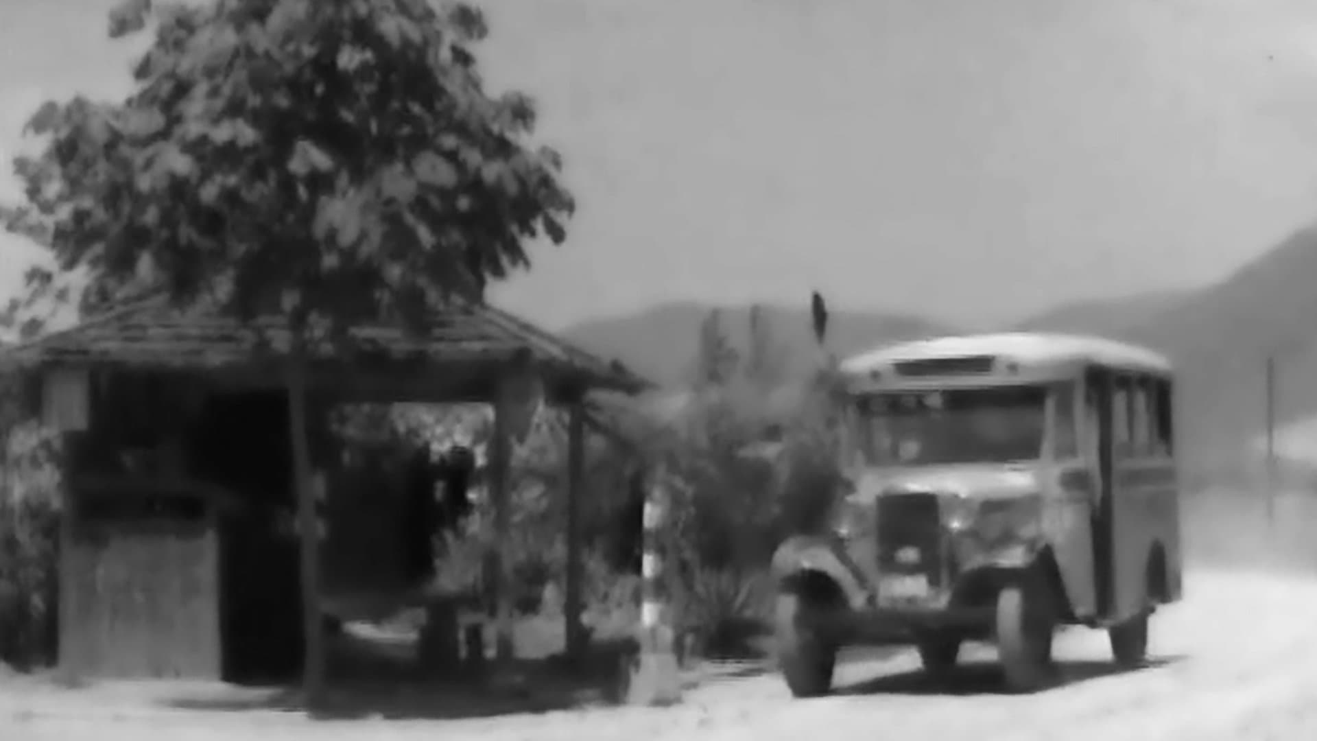 버스차장 히데코