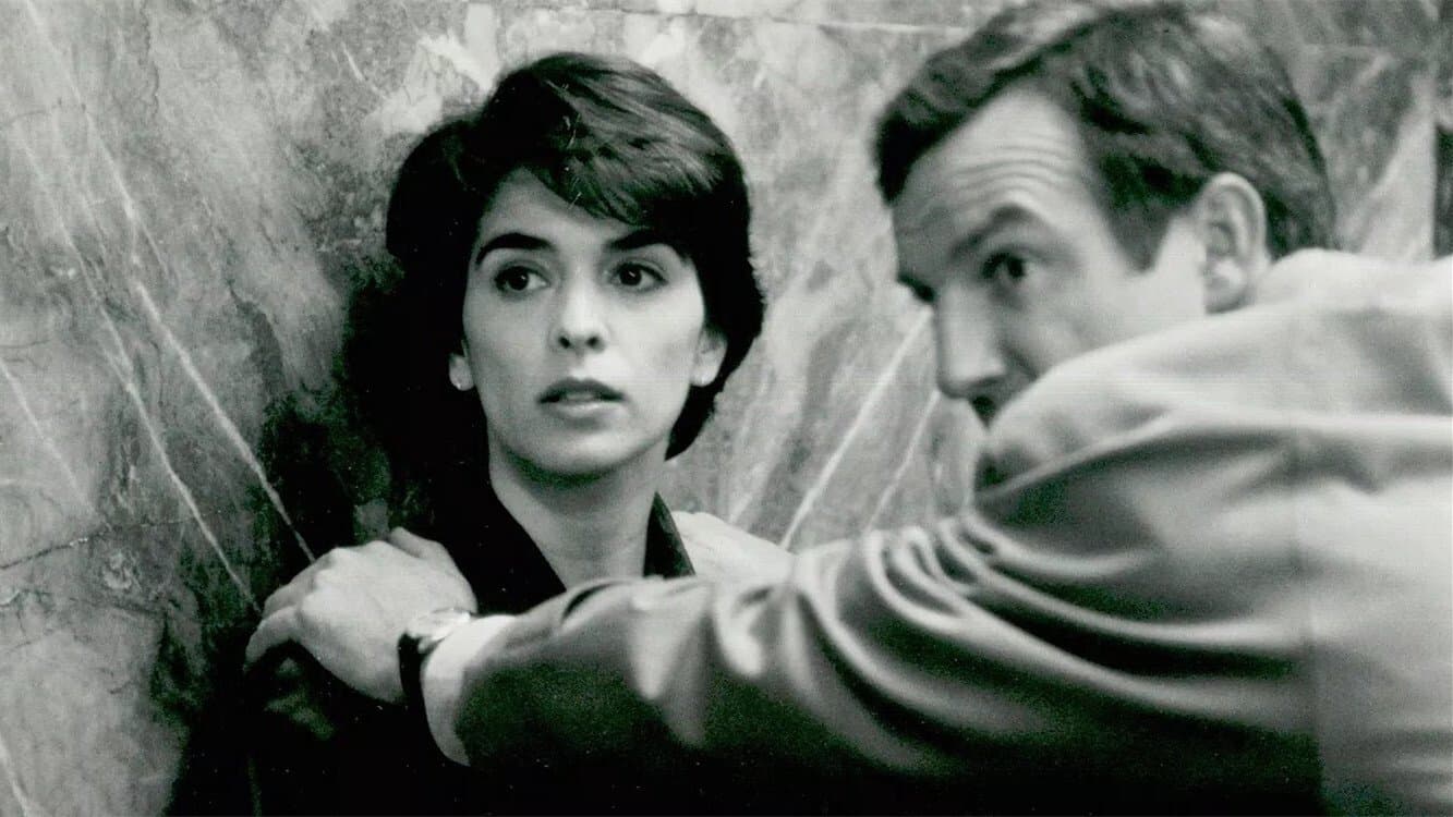 어둠 속의 정사