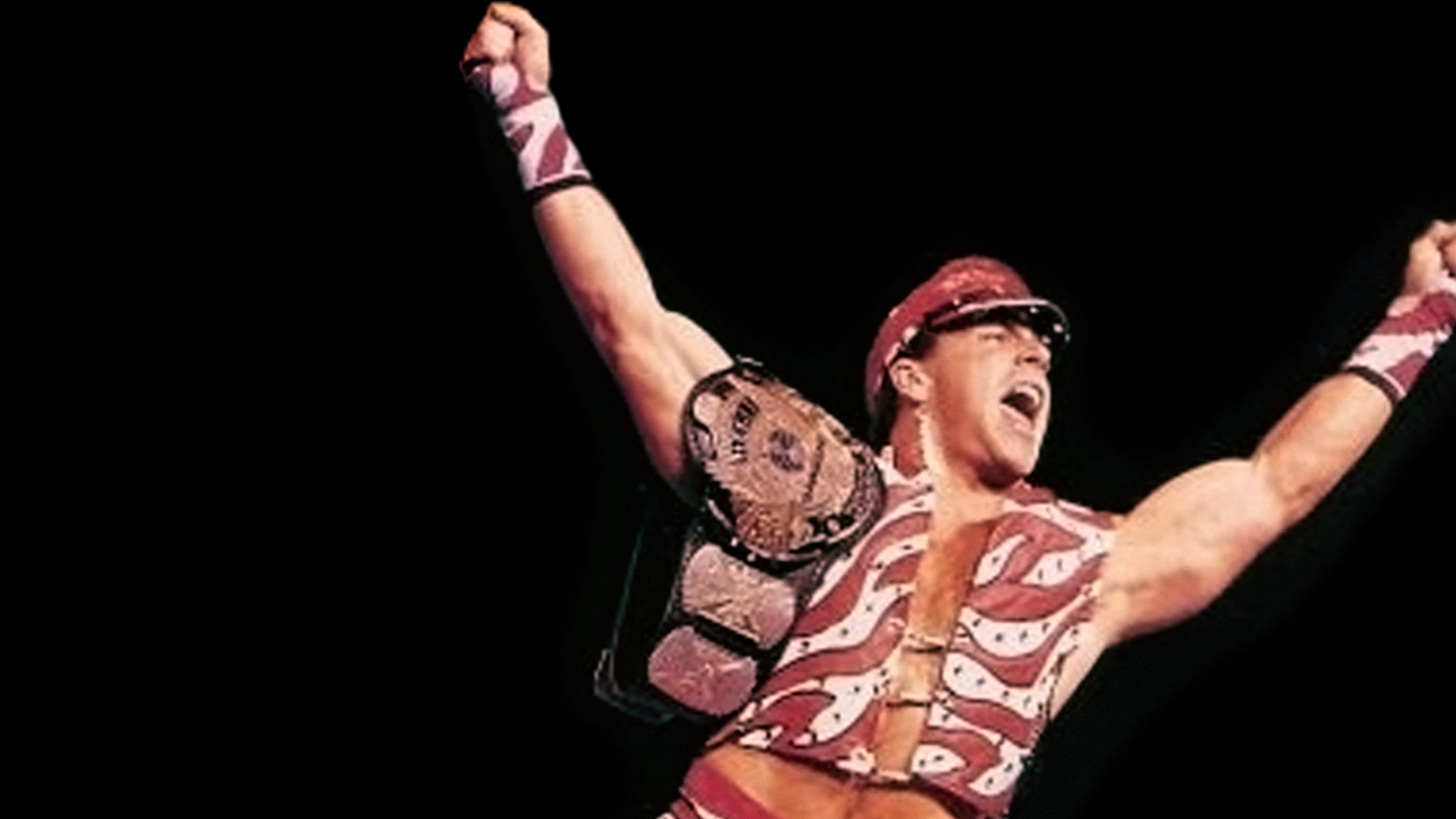 WWE 서머슬램 1996