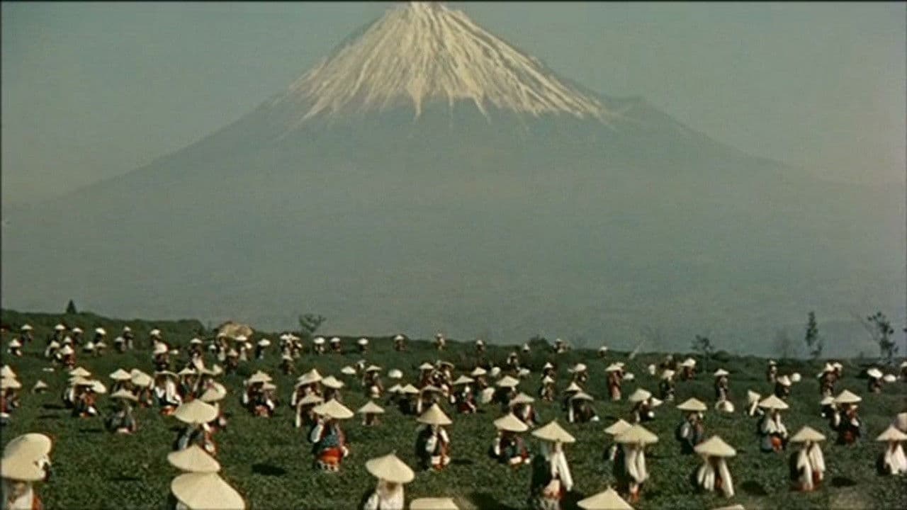 ひばりの森の石松