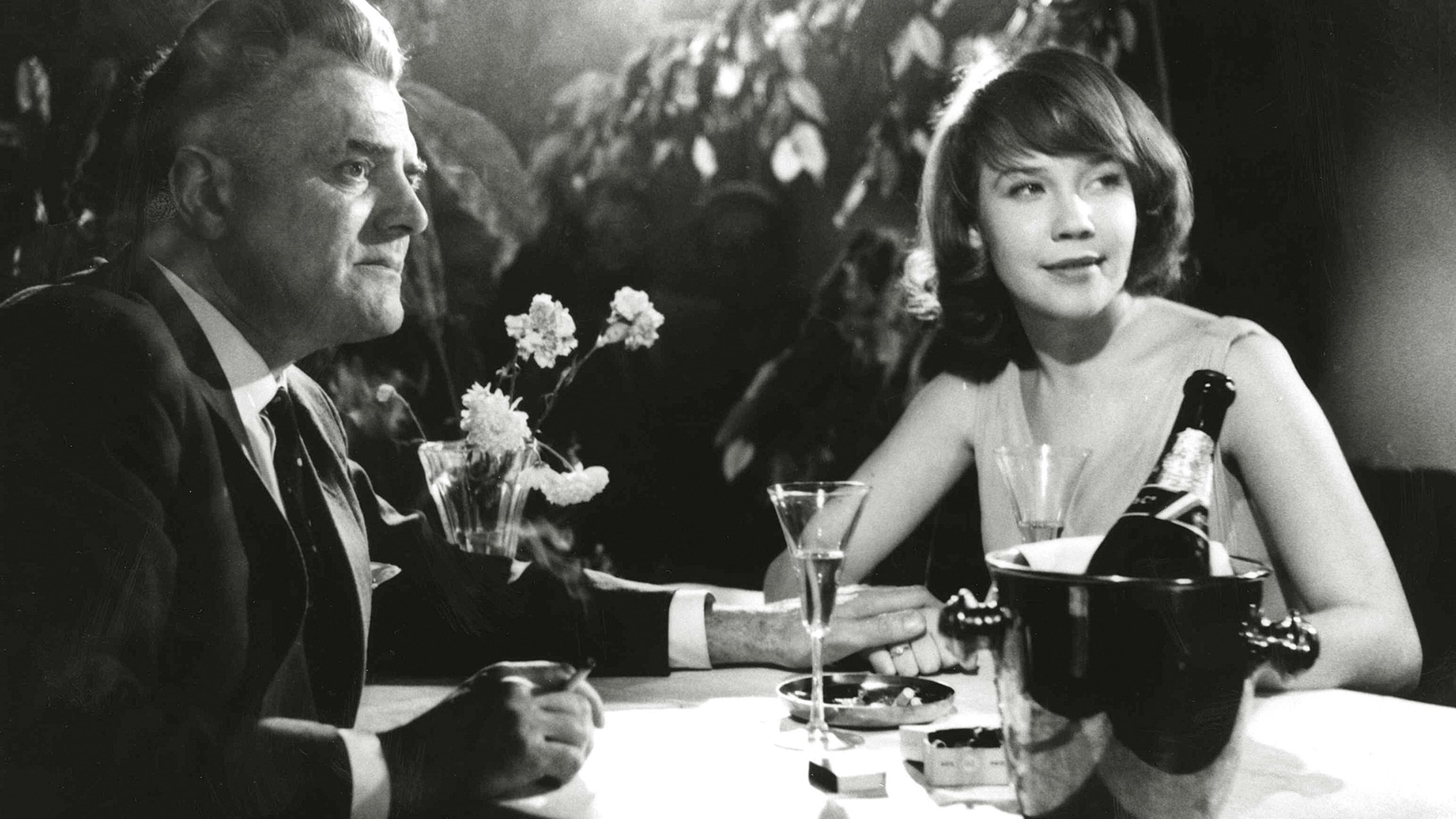 Tulipunainen kyyhkynen