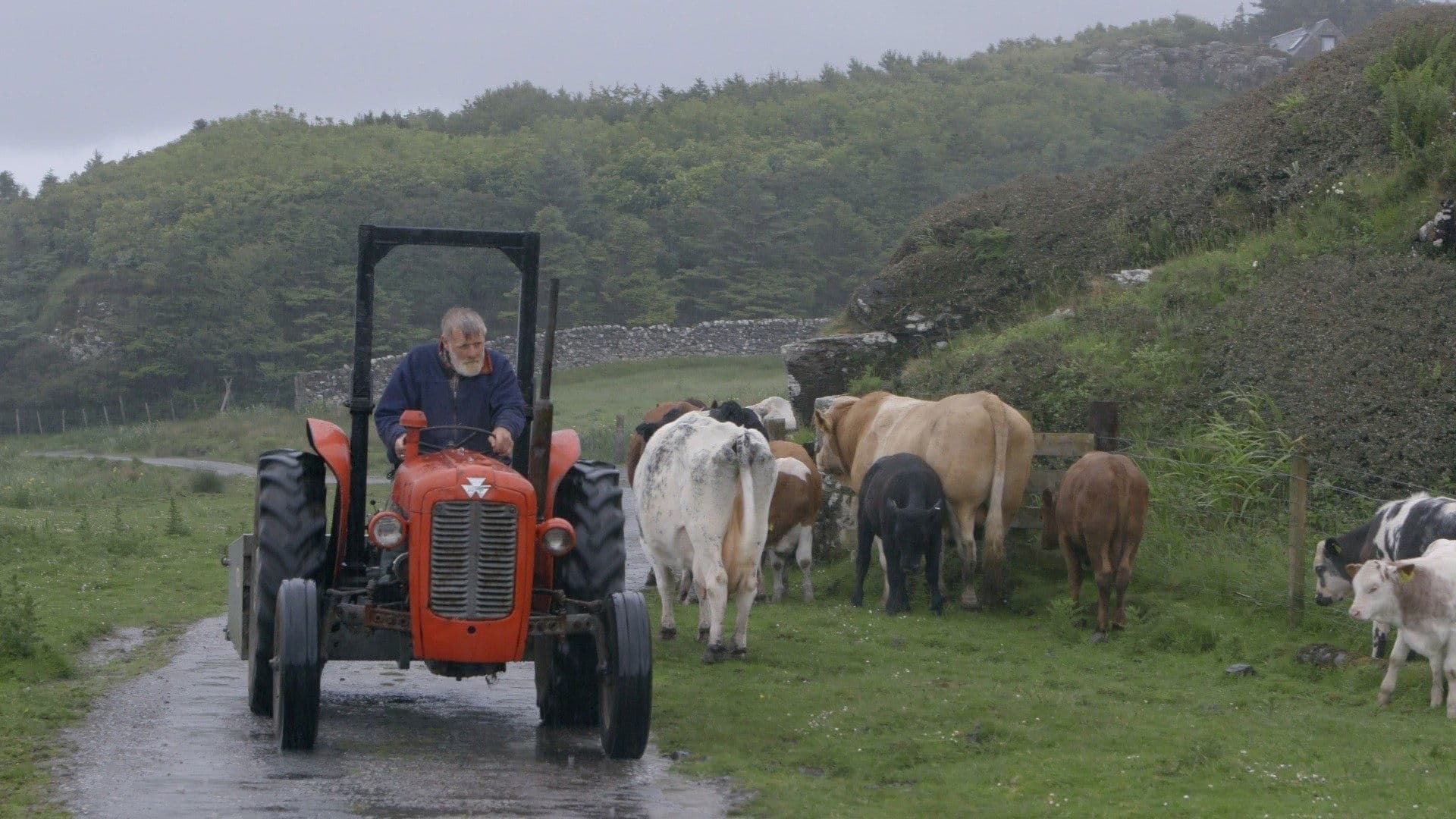 프린스 오브 먹