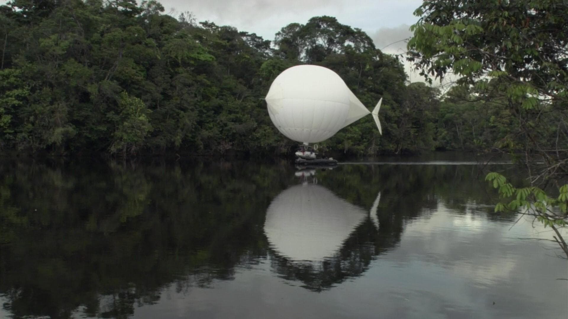 하얀 다이아몬드