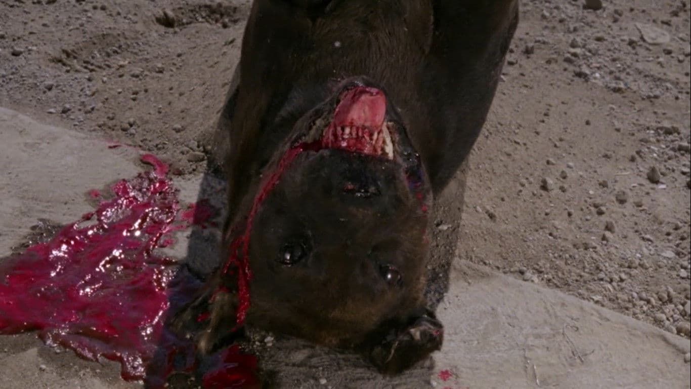 El gran perro muerto