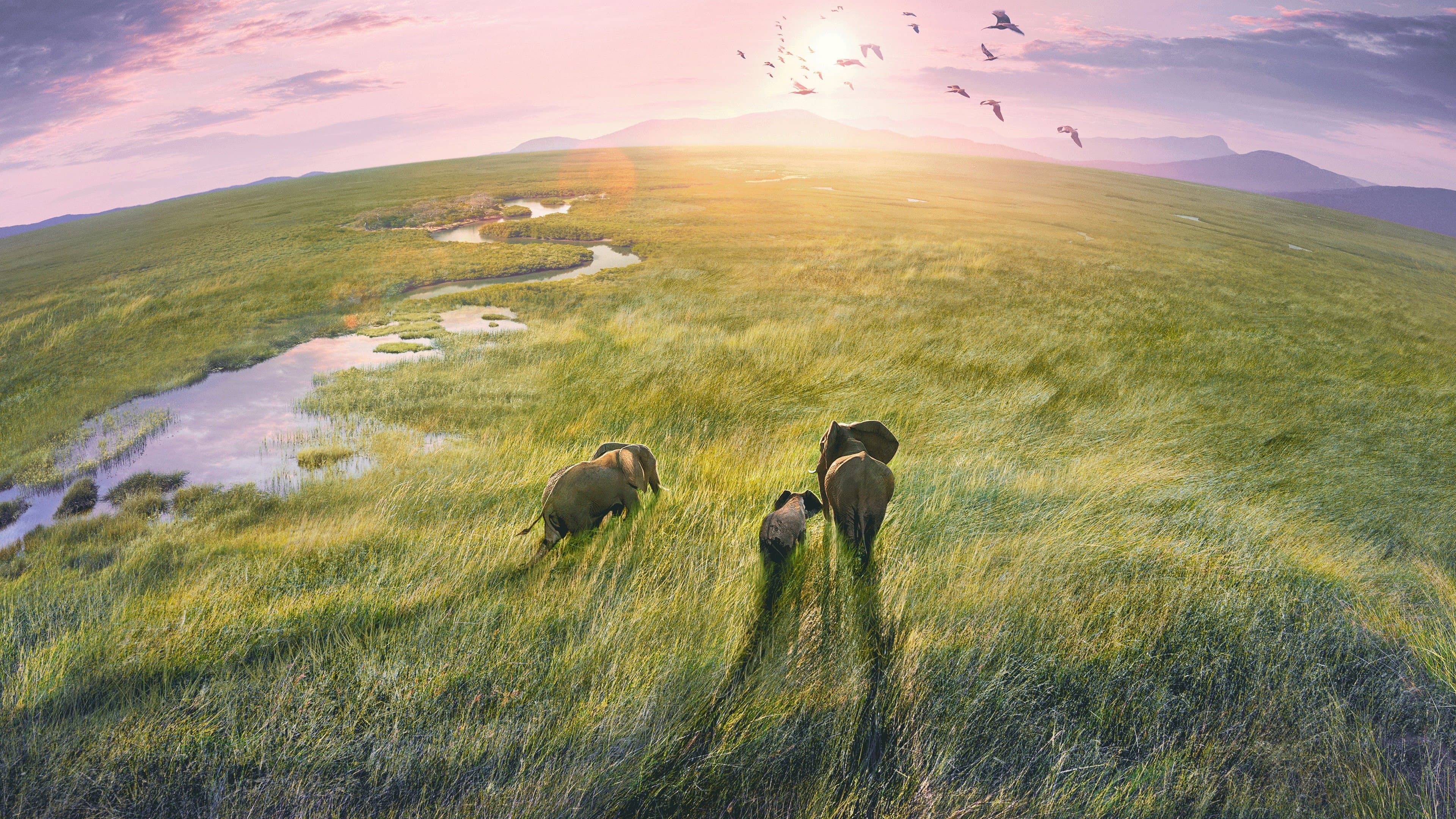 살아있는 지구 III