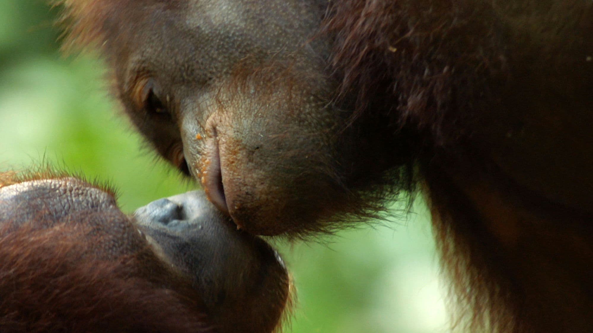 하늘에서 본 적도