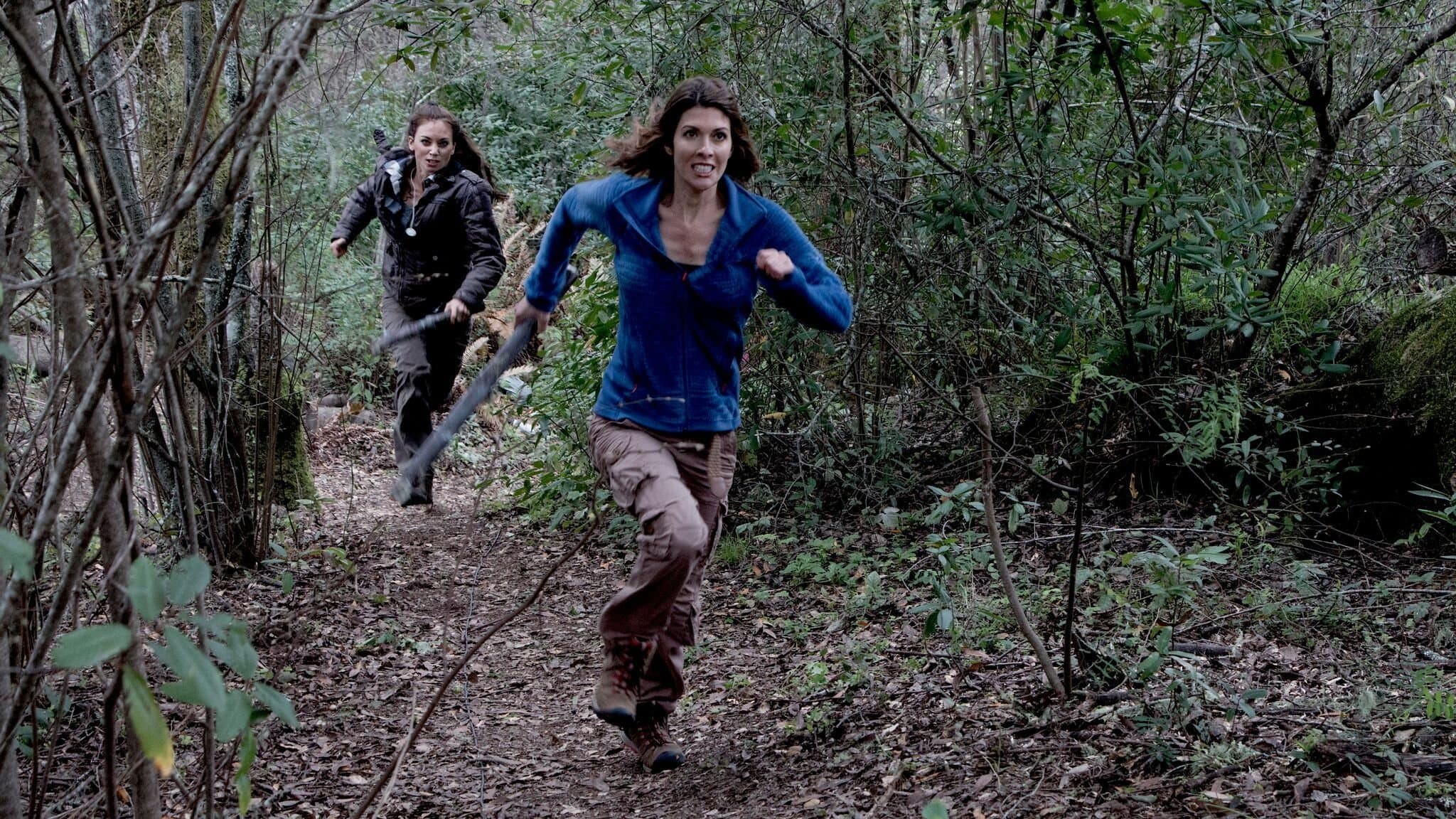 데드 바이 데이라이트