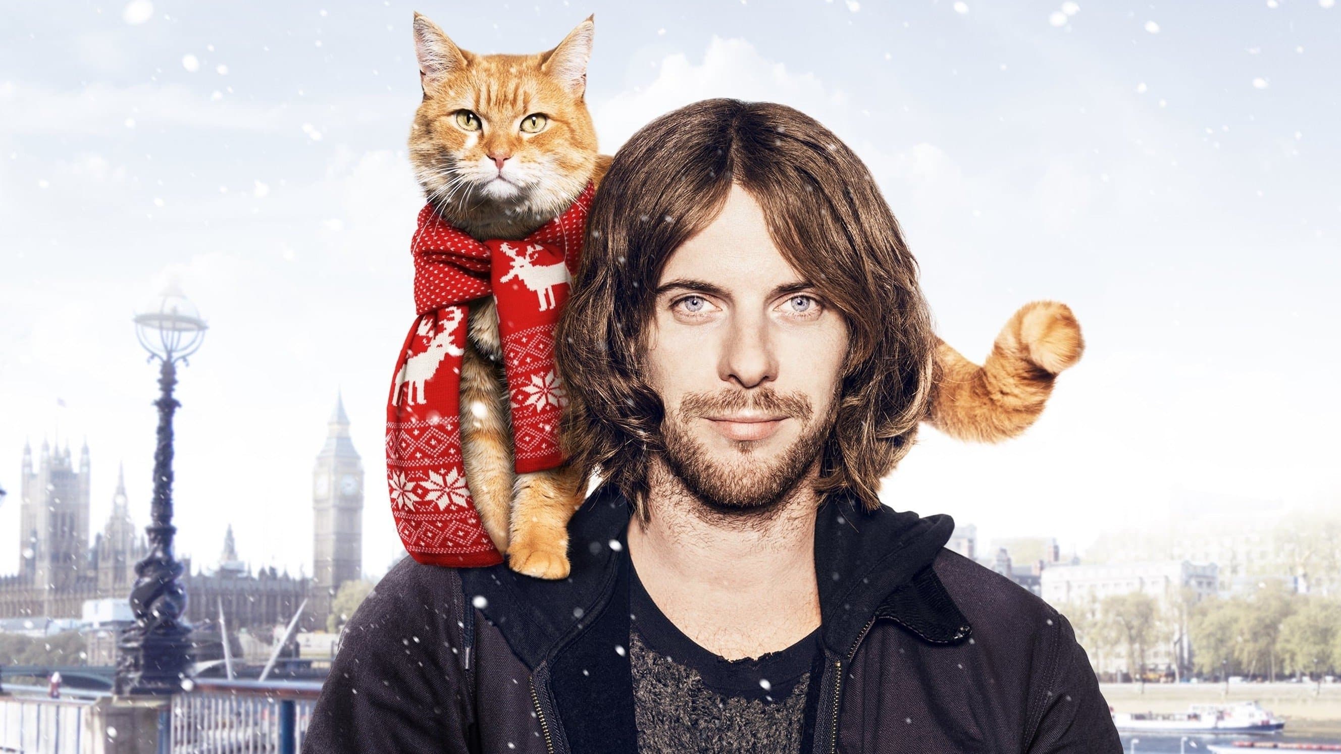 내 어깨 위 고양이, 밥